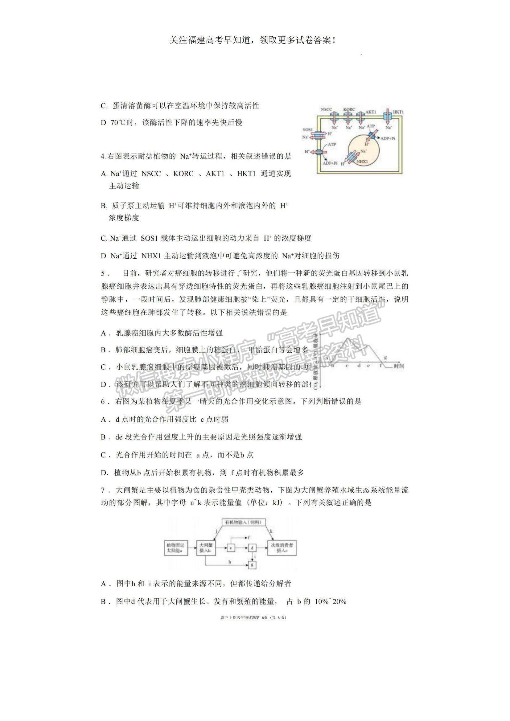 2023福建省廈門外國(guó)語(yǔ)學(xué)校高三上學(xué)期期末檢測(cè)生物試題及參考答案