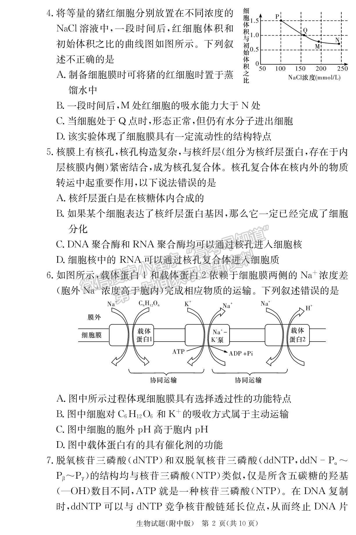 2023湖南師范大學(xué)附屬中學(xué)高三上學(xué)期月考（一）生物試題及參考答案