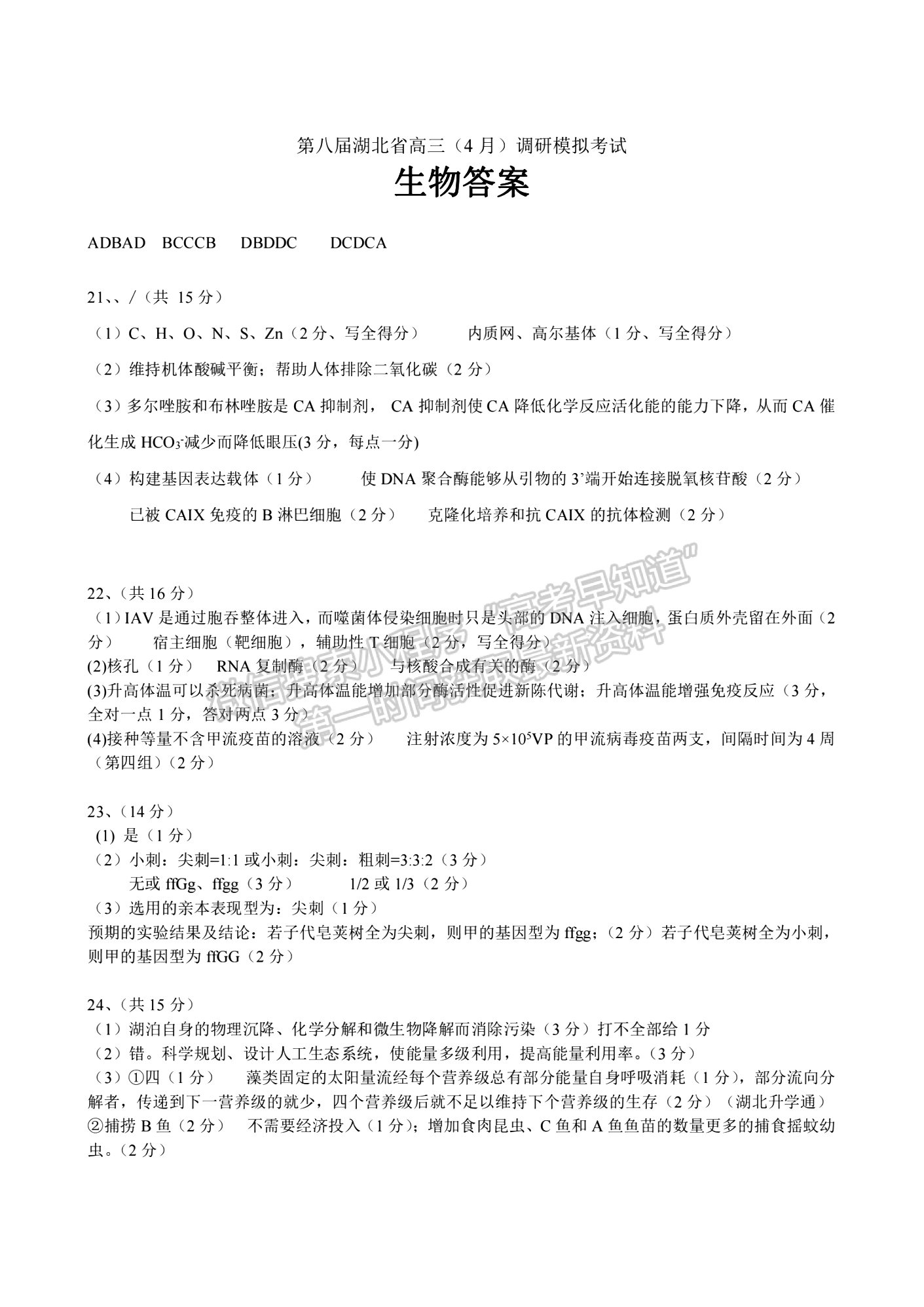 2023年湖北省高三4月調(diào)研模擬考生物試卷及參考答案