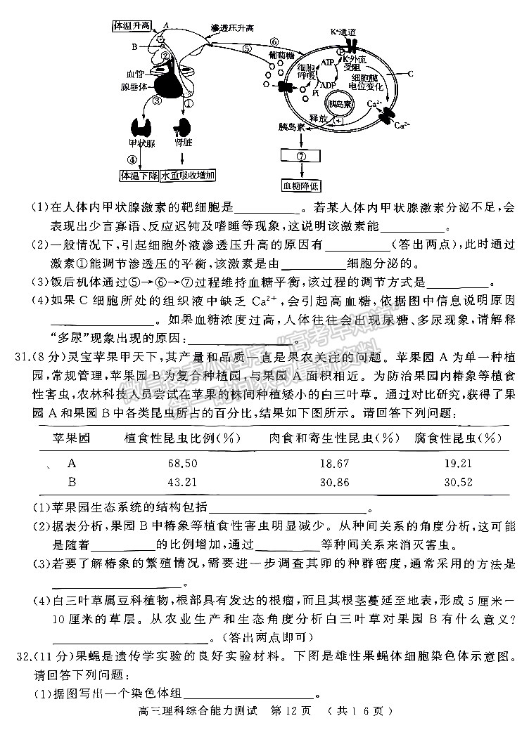 2023河南五地市高三下学期第二次联考理综试题及参考答案