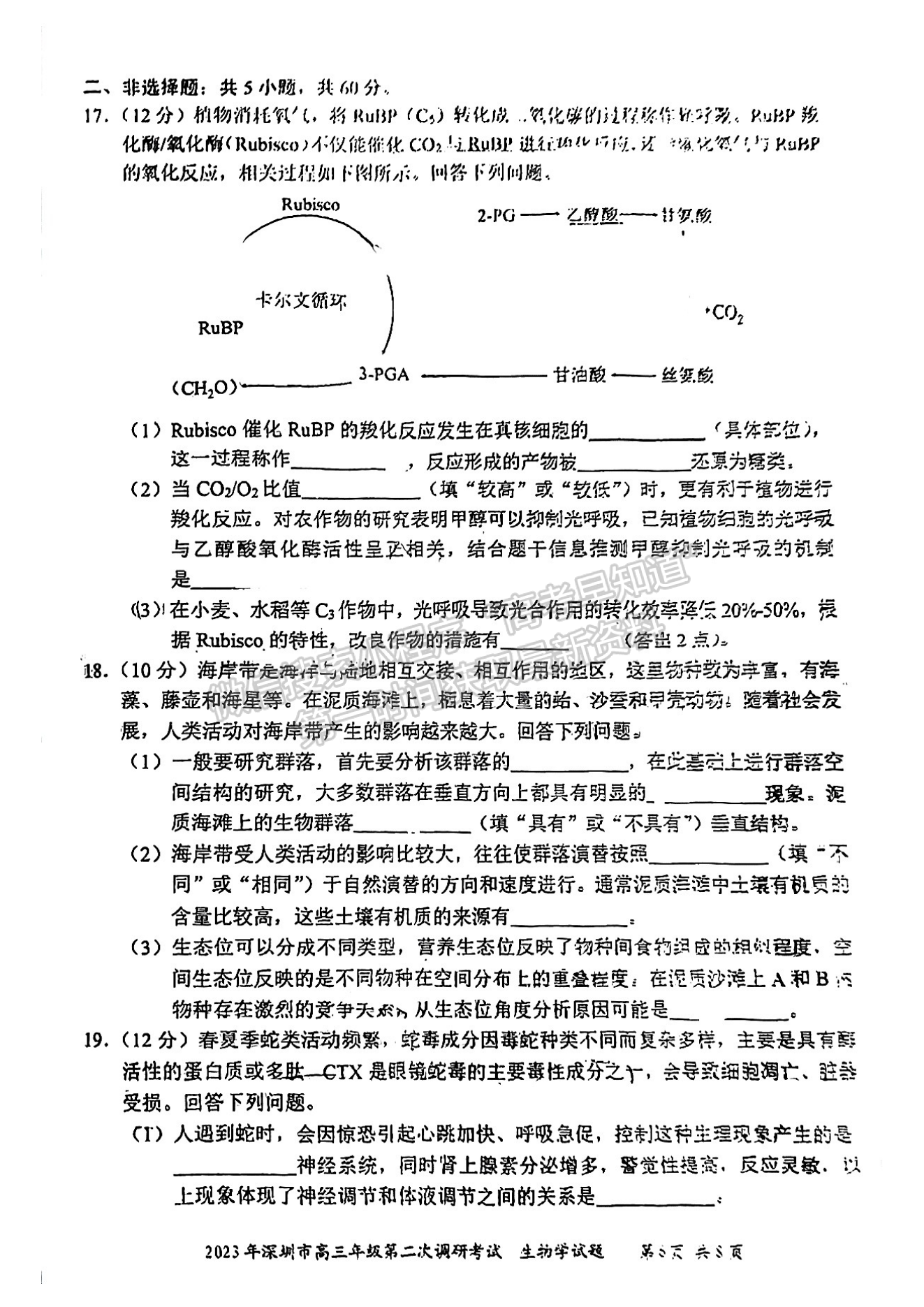 2023深圳二模生物試題答案