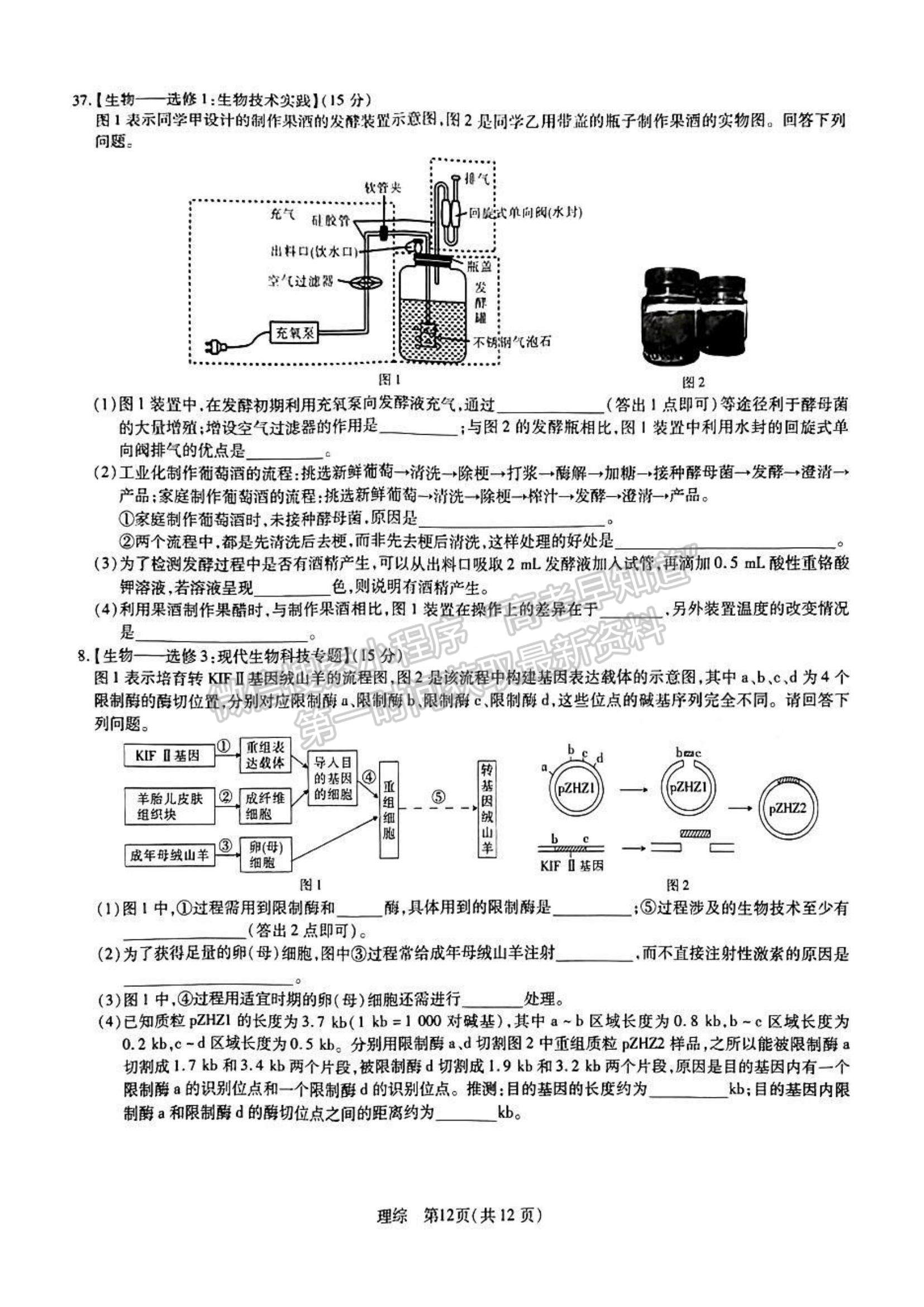 2023江西穩(wěn)派高三4月聯(lián)考理綜