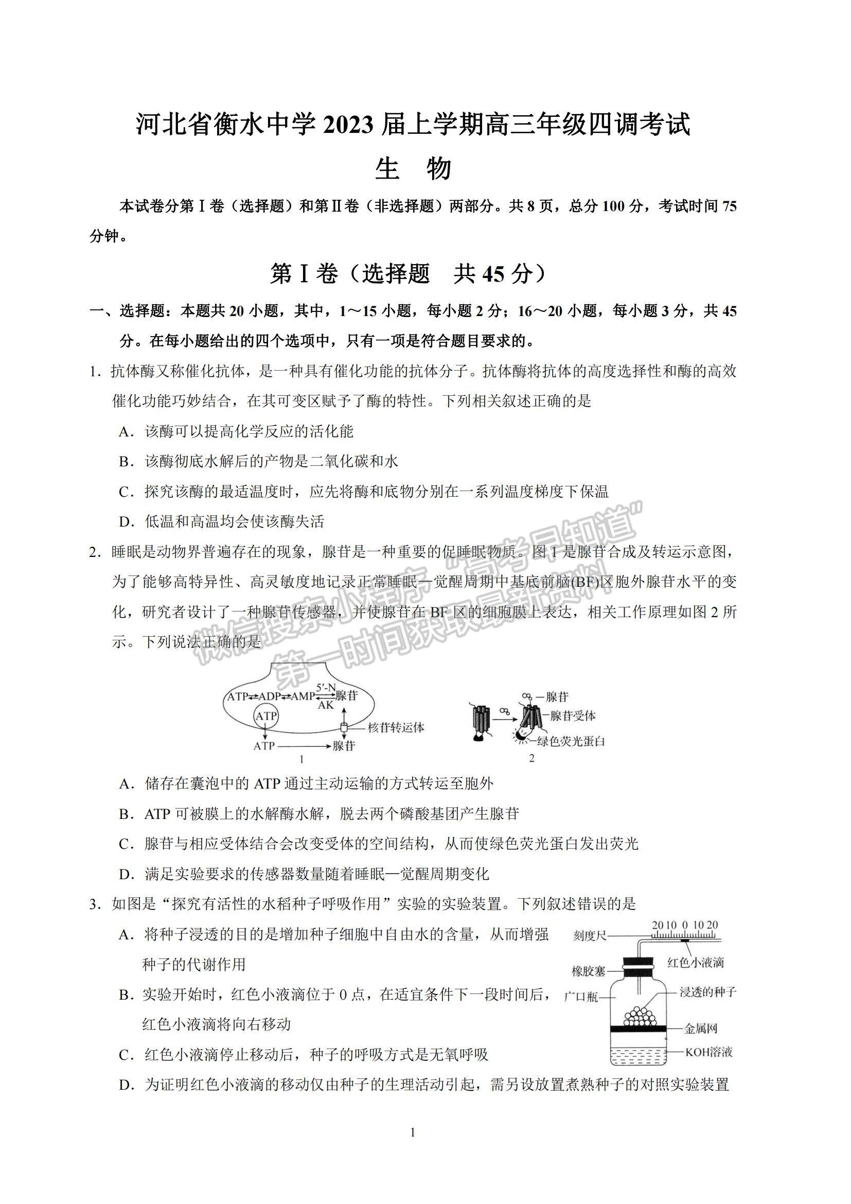 2023河北省衡水中學(xué)高三上學(xué)期四調(diào)考試生物試題及參考答案