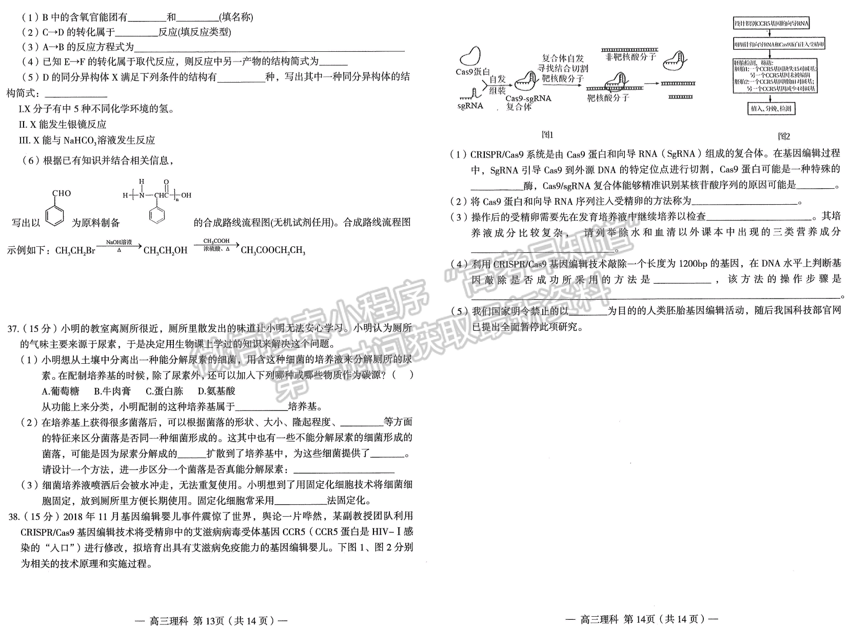 2023南昌二模理綜