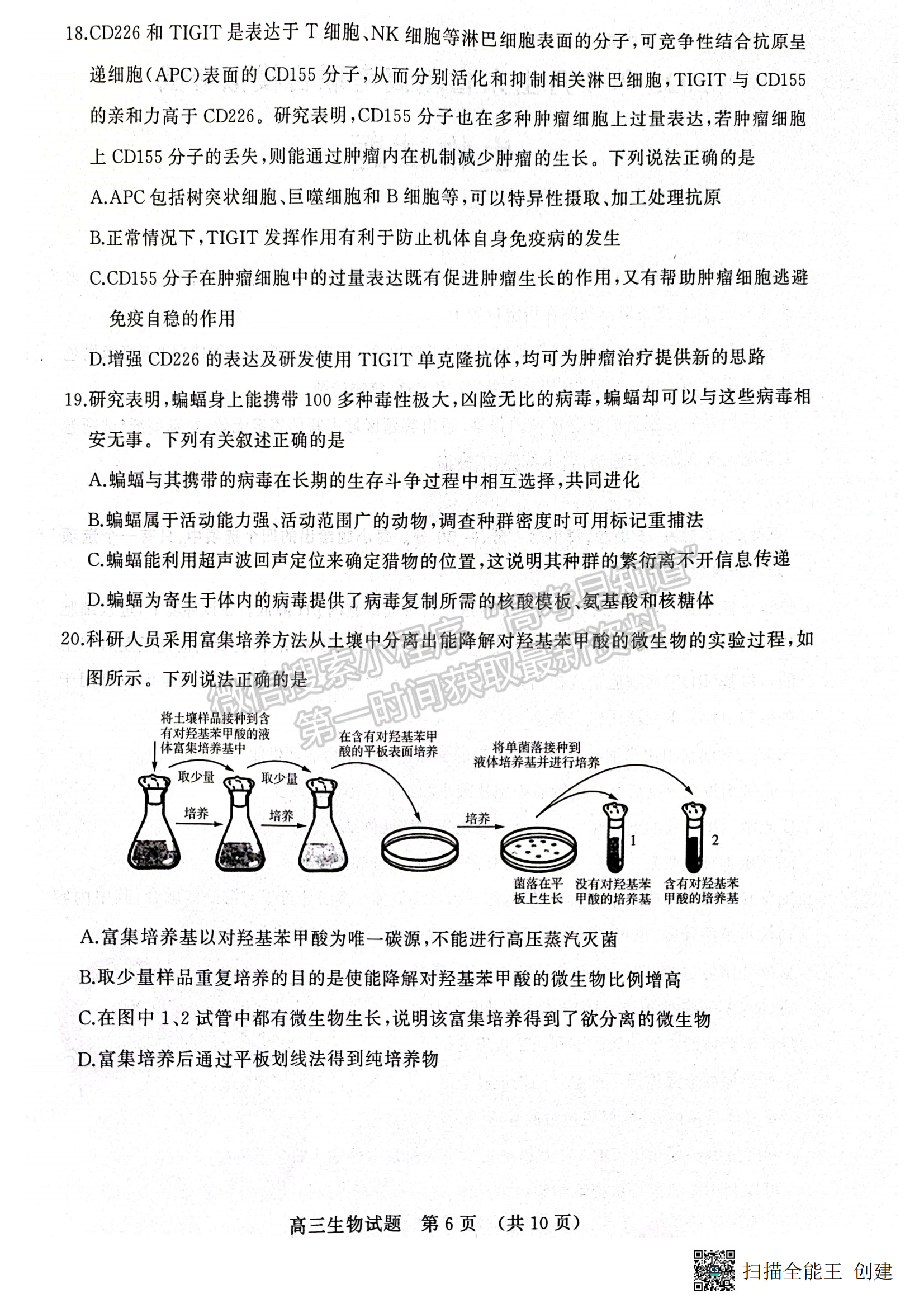 2023山東省濟(jì)南市二模-生物試卷及答案