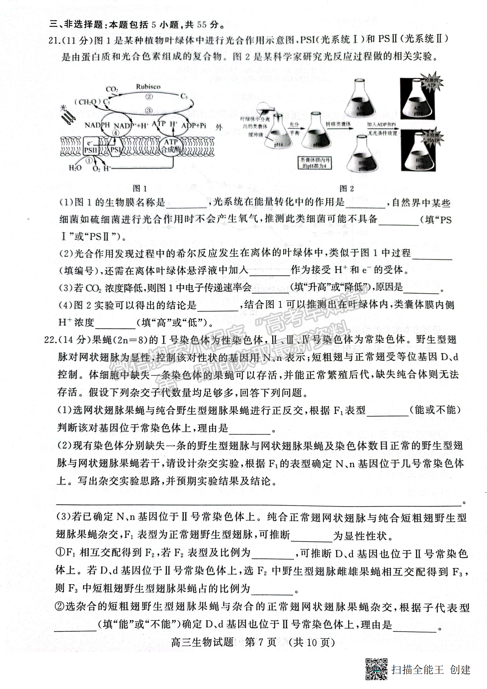 2023山東省濟南市二模-生物試卷及答案