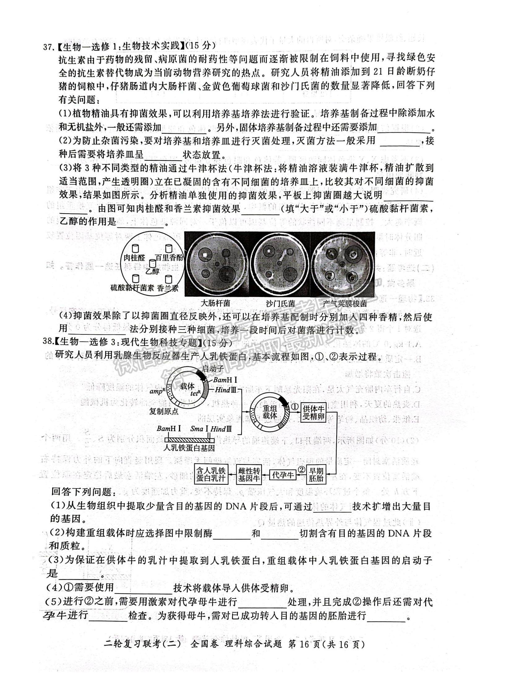 百師聯(lián)盟2023屆高三二輪復(fù)習(xí)聯(lián)考二理綜