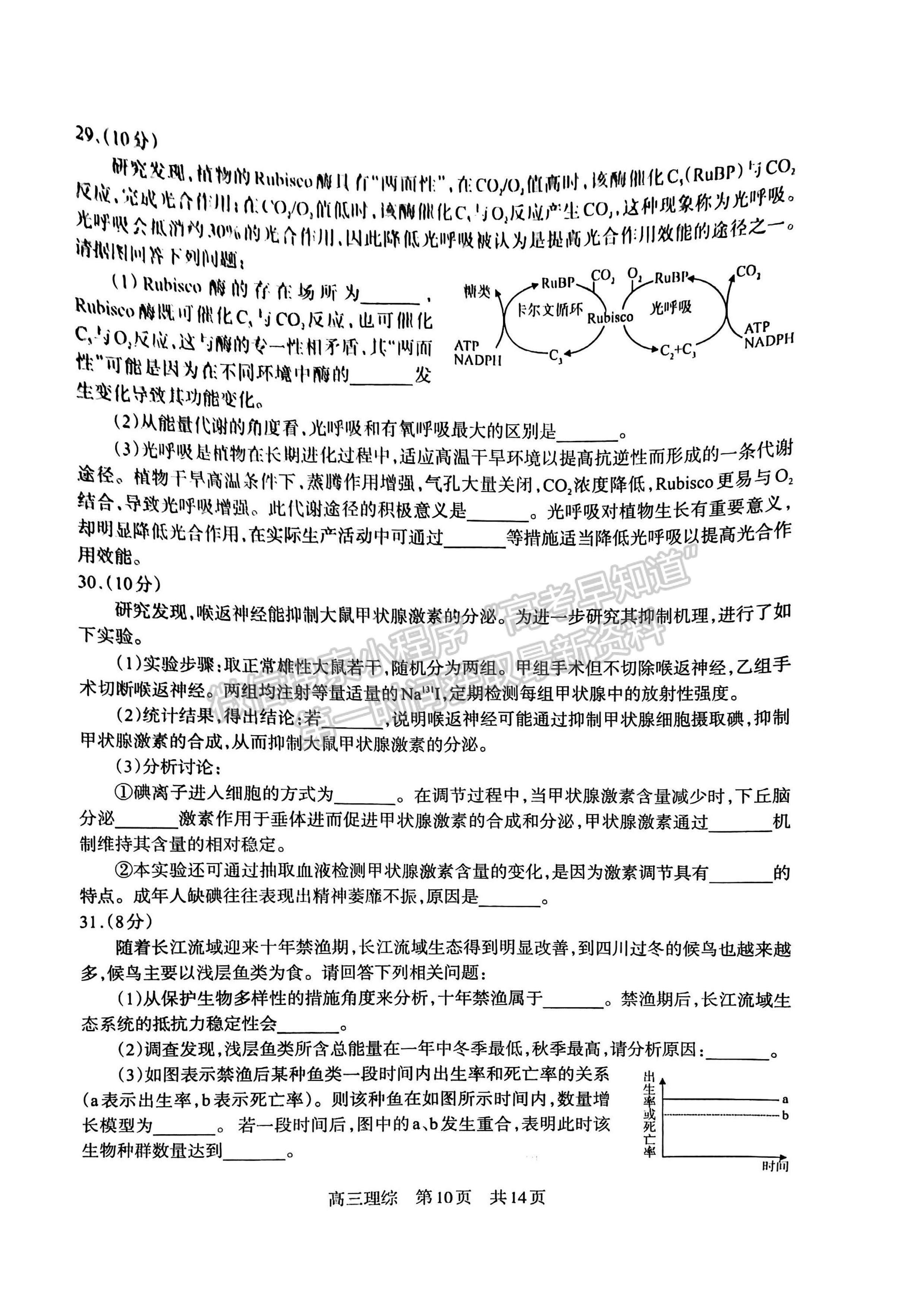 2023四川省攀枝花市2023届高三第三次统一考试理科综合试题及答案