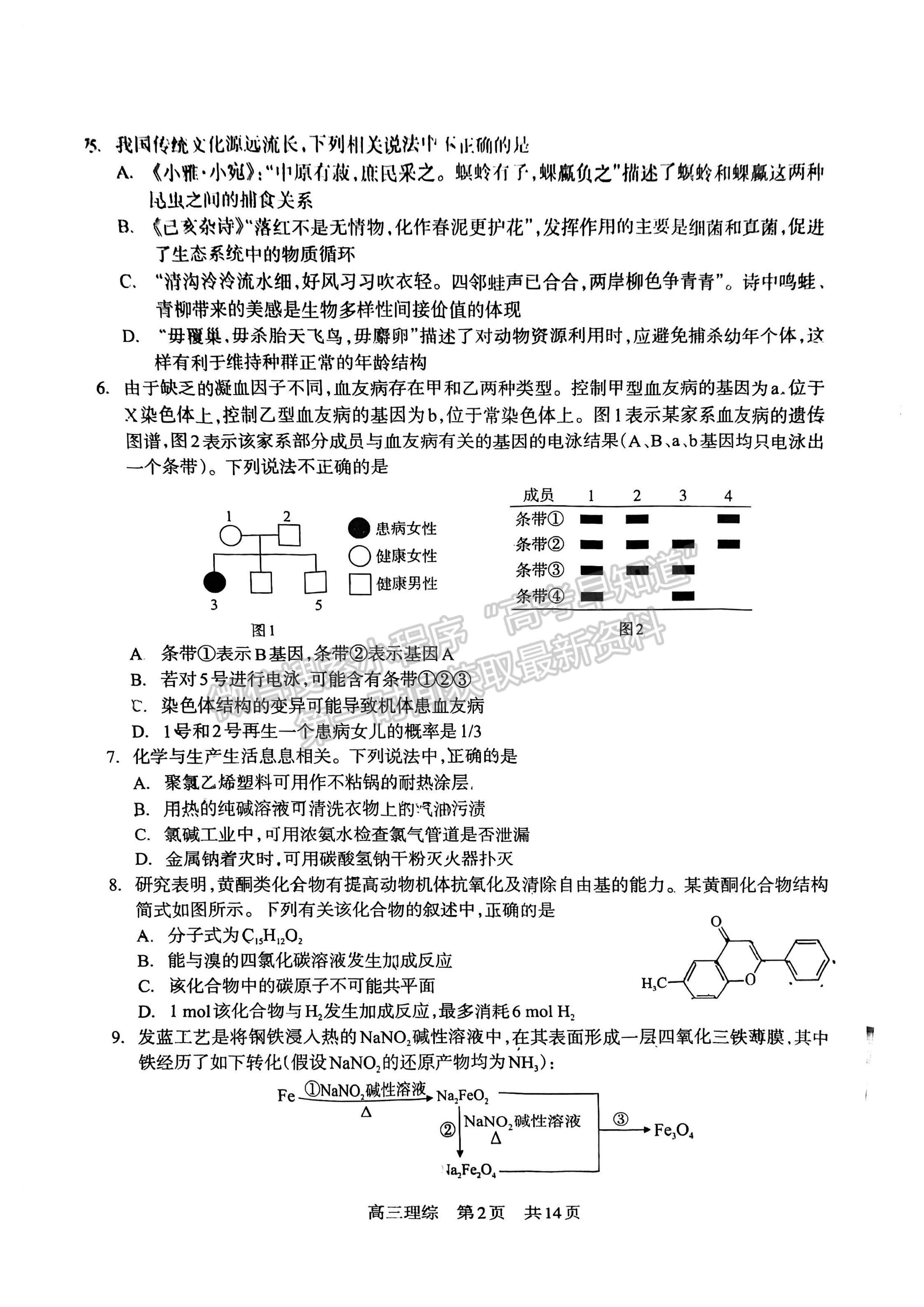 2023四川省攀枝花市2023届高三第三次统一考试理科综合试题及答案