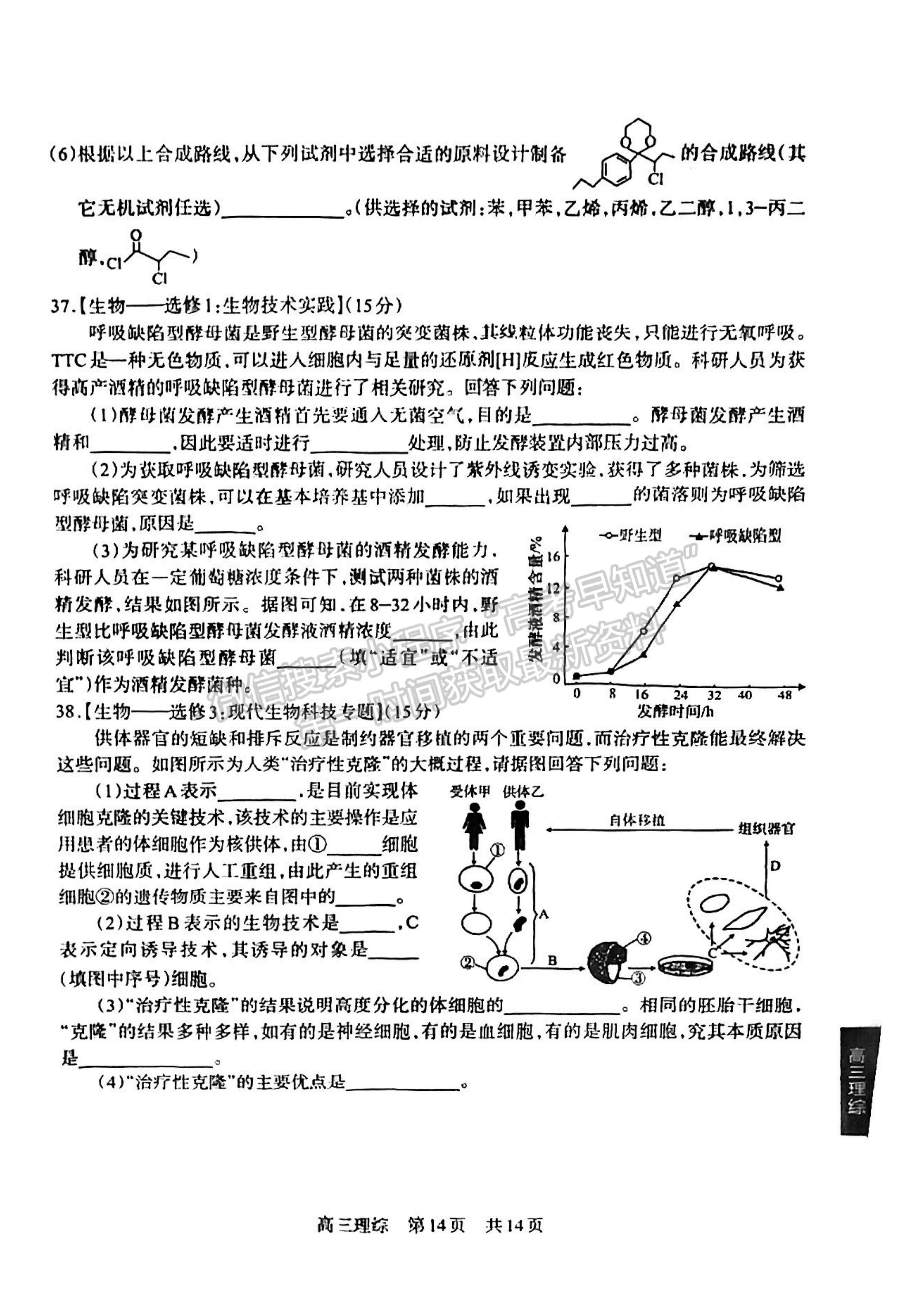 2023四川省攀枝花市2023届高三第三次统一考试理科综合试题及答案