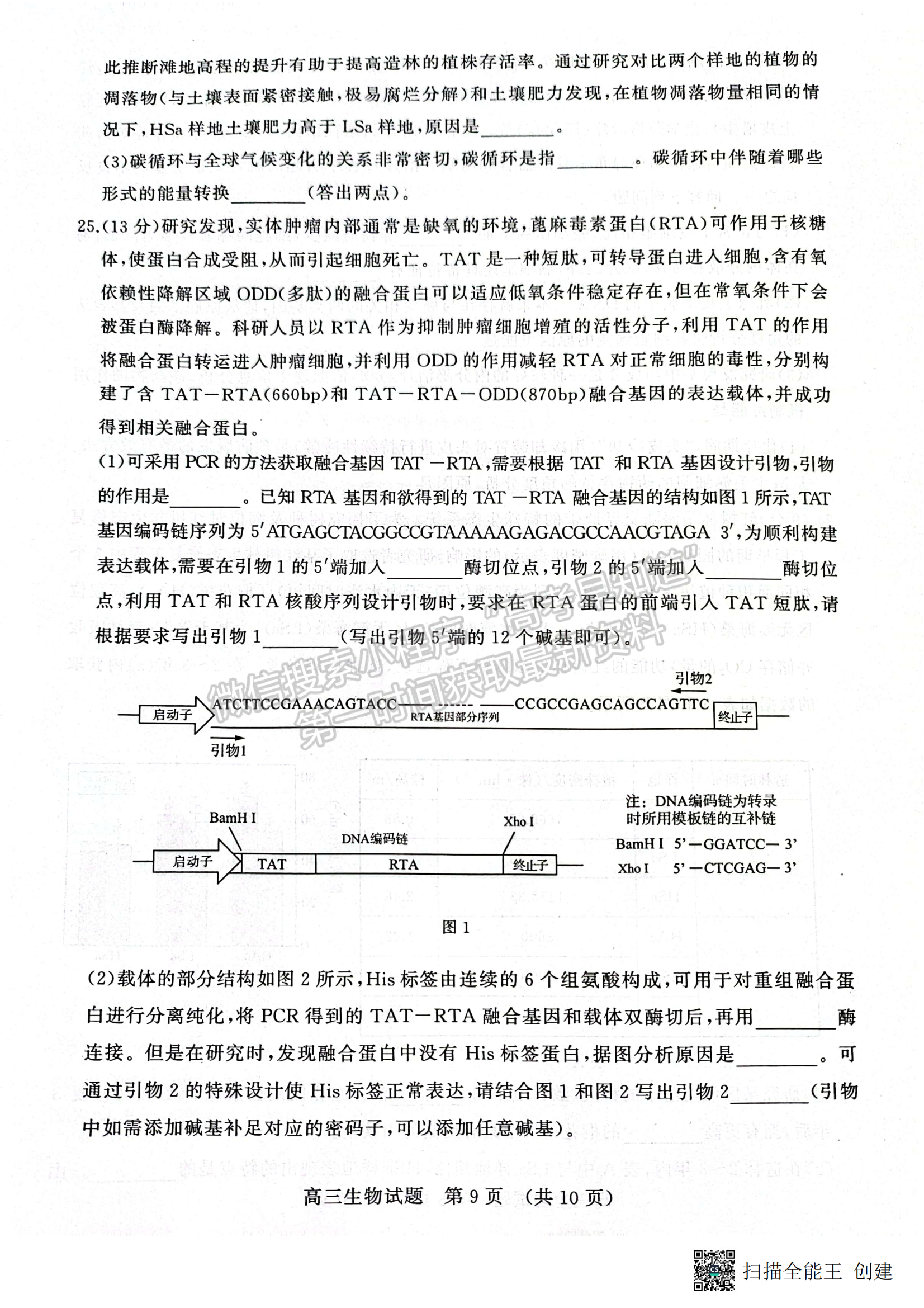 2023山東省濟南市二模-生物試卷及答案