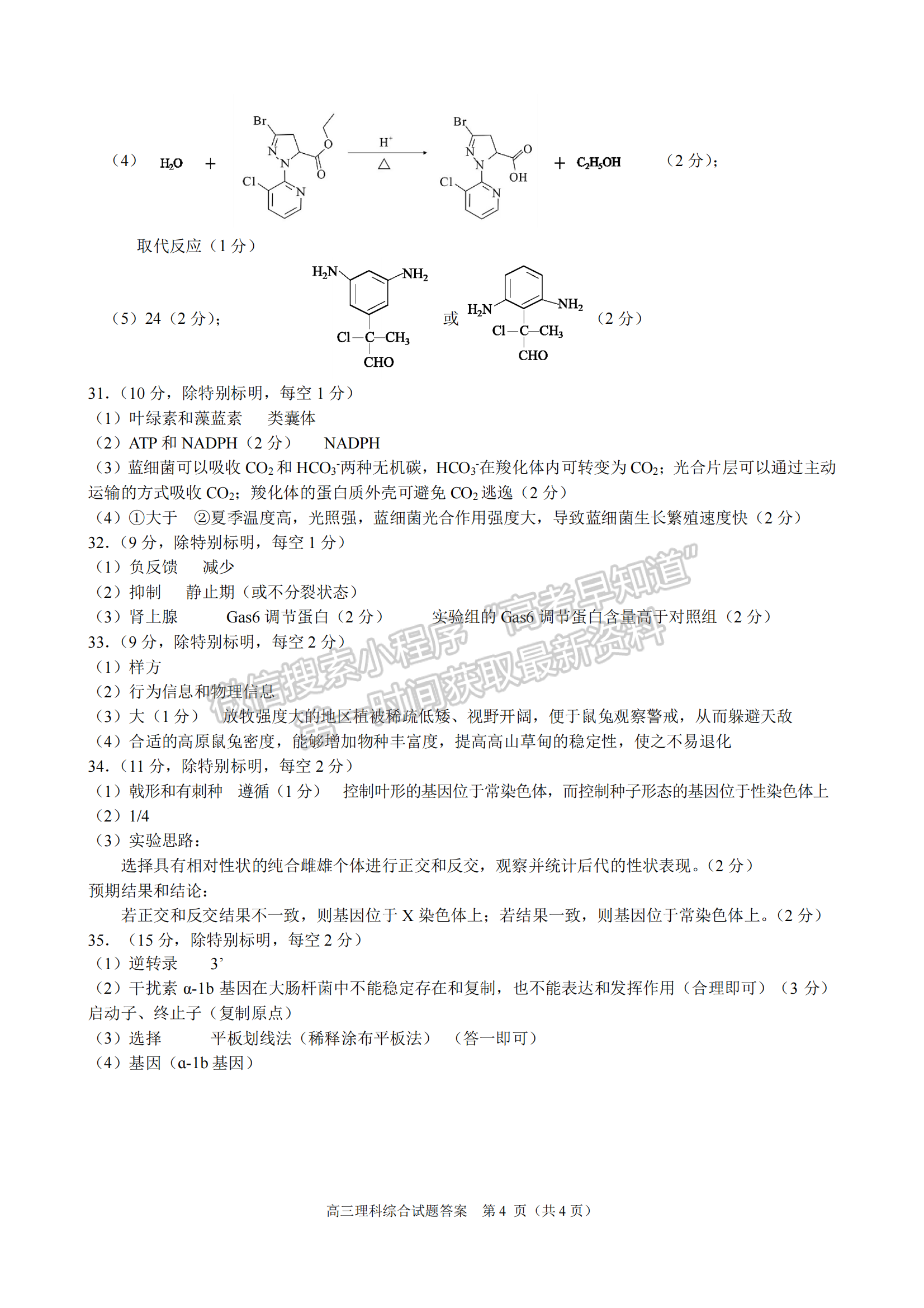 2023安徽合肥二模理綜試卷及答案