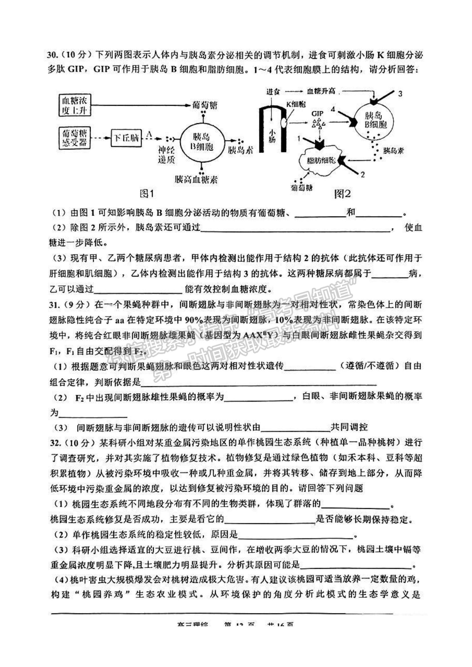 景德镇市2023届高三第三次质检理综