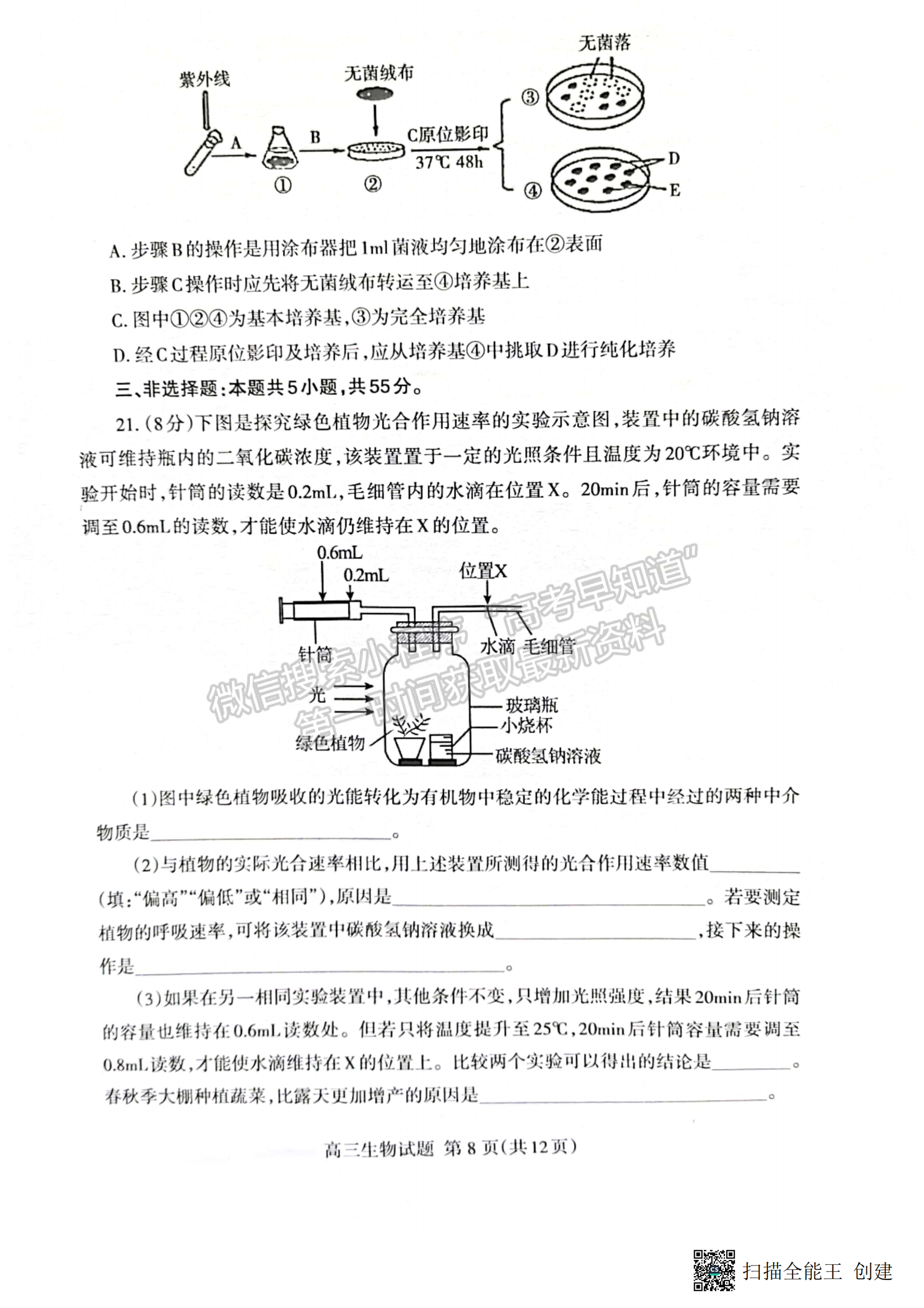 2023山東省泰安市二模-生物試卷及答案