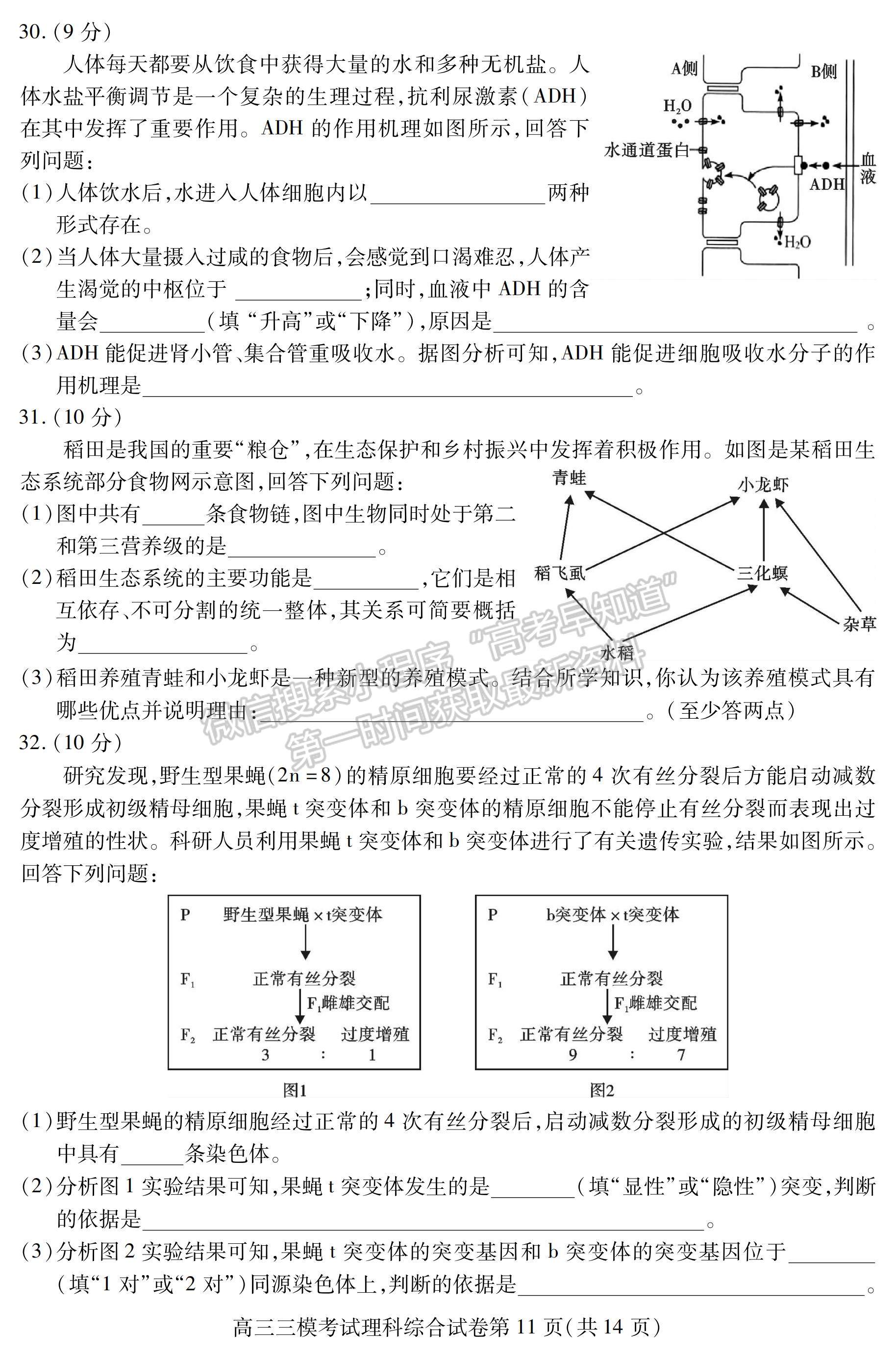 2023四川省內(nèi)江市高中2023屆第三次模擬考試?yán)砜凭C合試題及答案