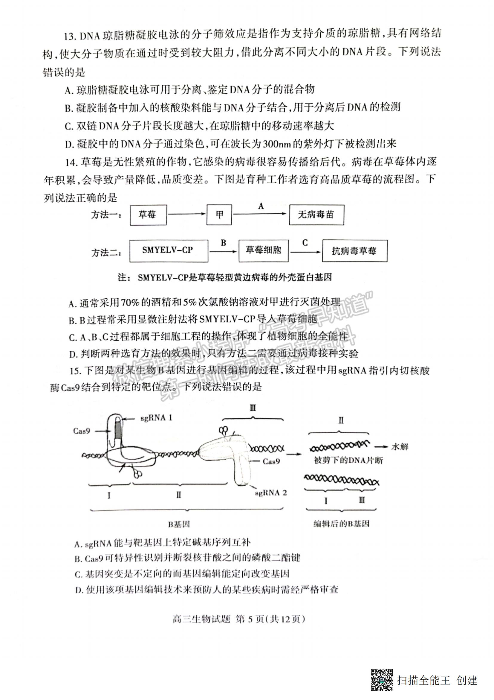 2023山東省泰安市二模-生物試卷及答案