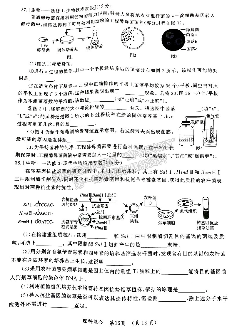 開封市2023屆高三年級第三次模擬考試?yán)砭C試題及參考答案