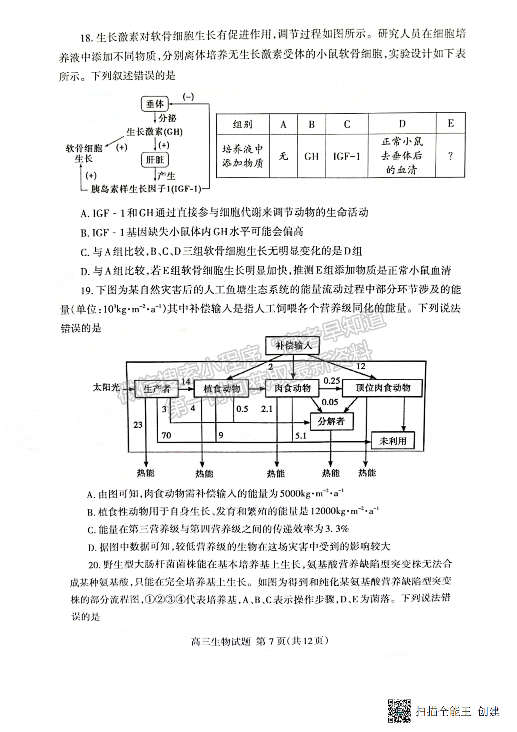 2023山東省泰安市二模-生物試卷及答案