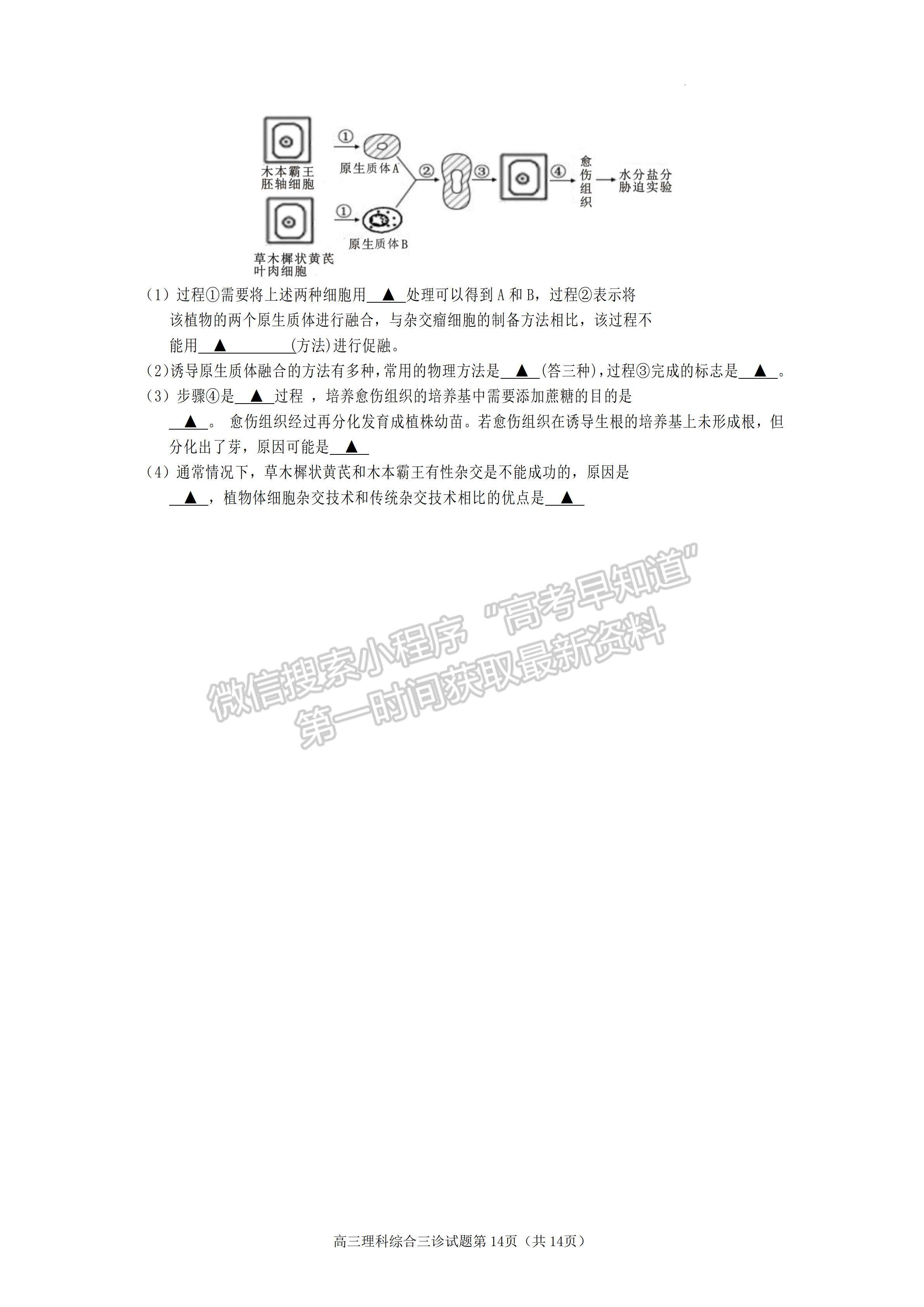 2023四川省遂寧市2023屆三診考試?yán)砜凭C合試題及答案