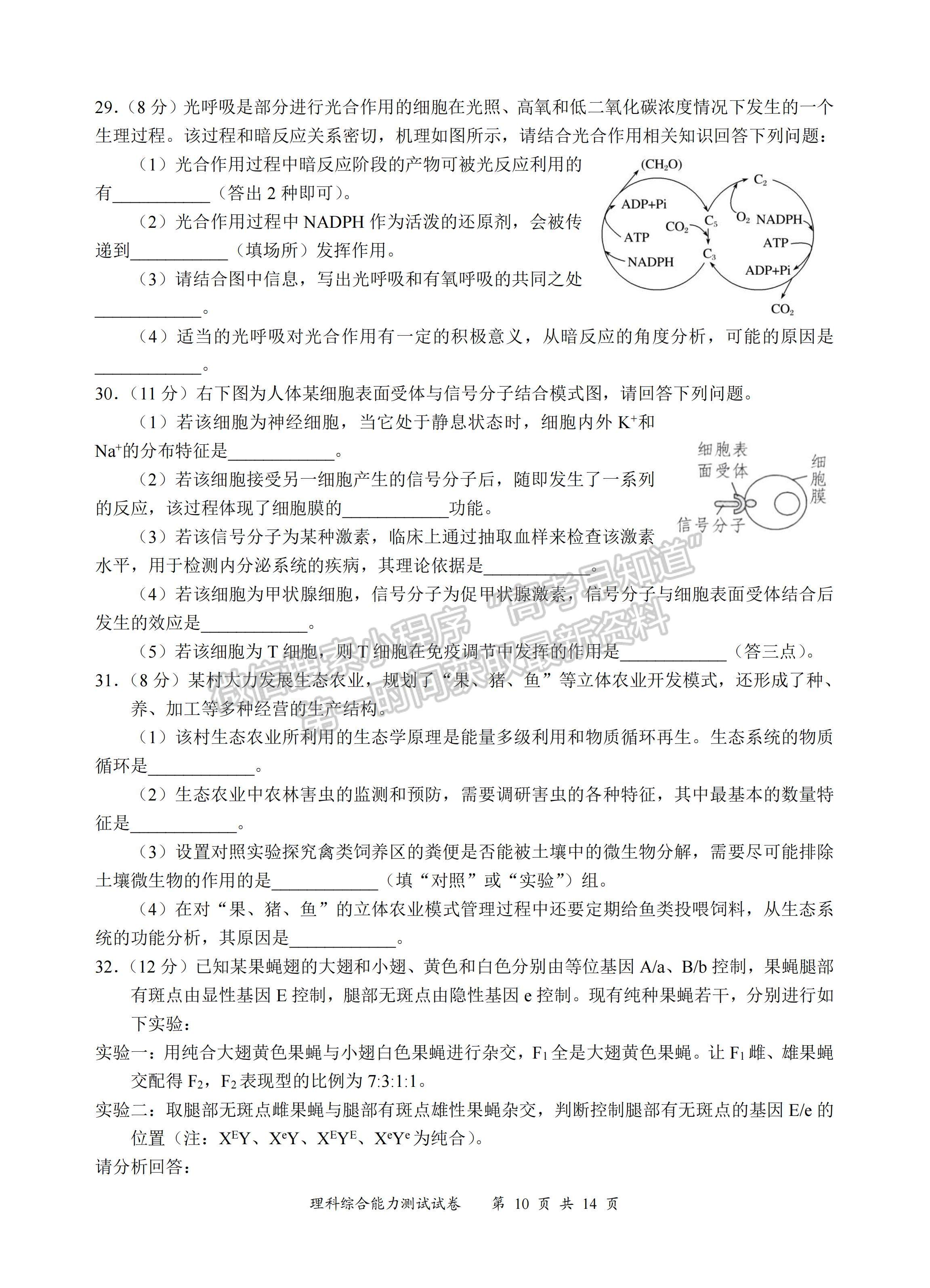 2023四川省宜宾市普通高中2020级第三次诊断性测试理科综合试题及答案