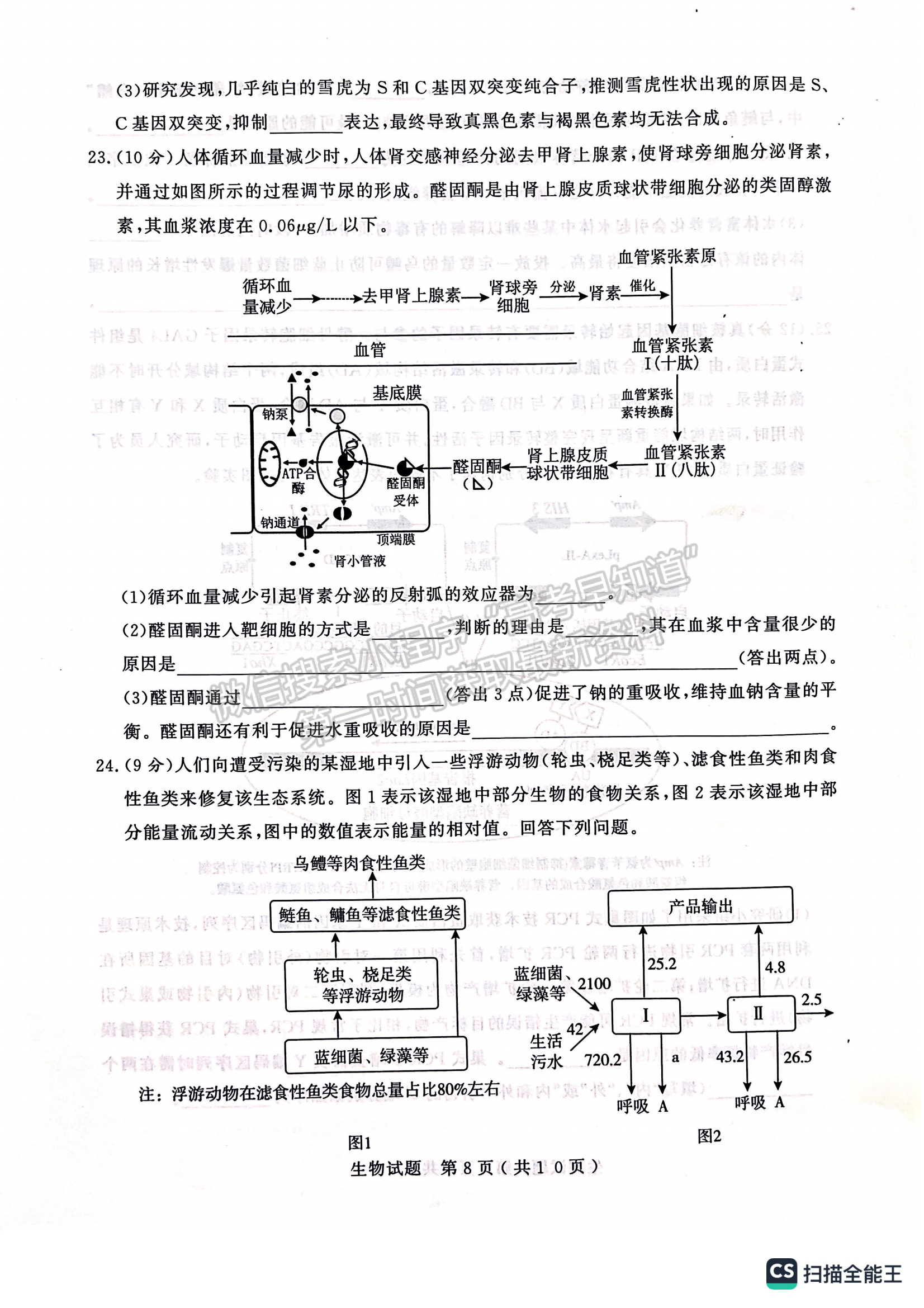 2023山東省濟(jì)寧市二模-生物試卷及答案