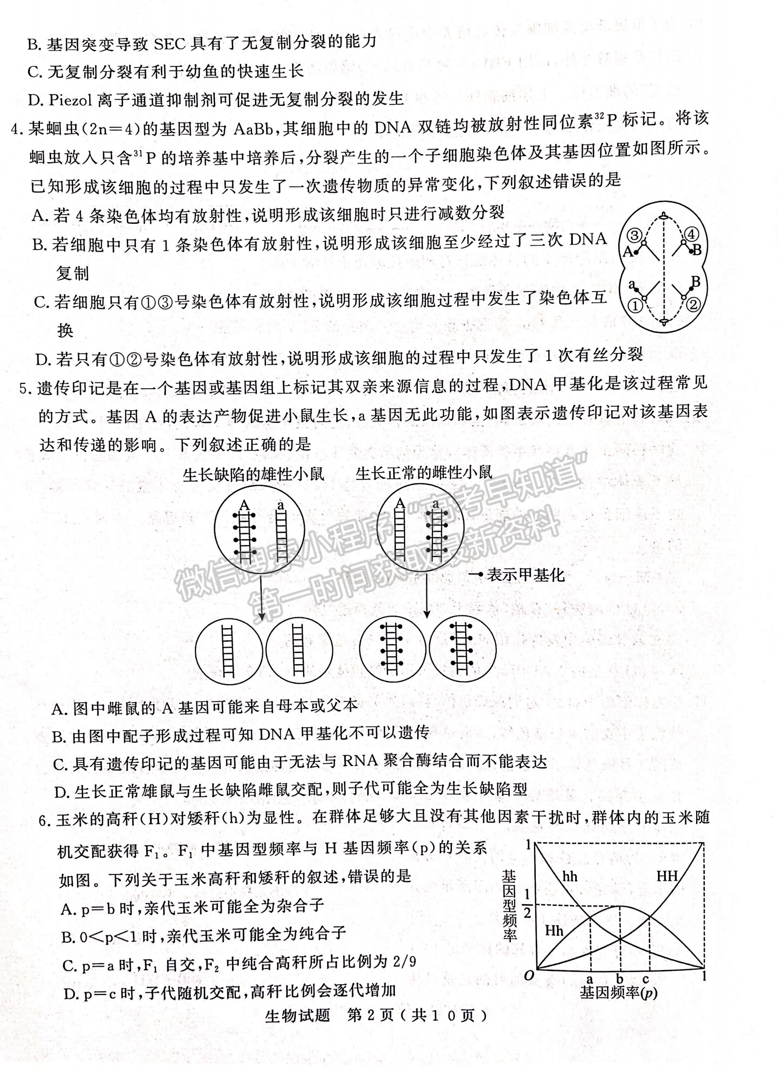 2023山東省濟(jì)寧市二模-生物試卷及答案