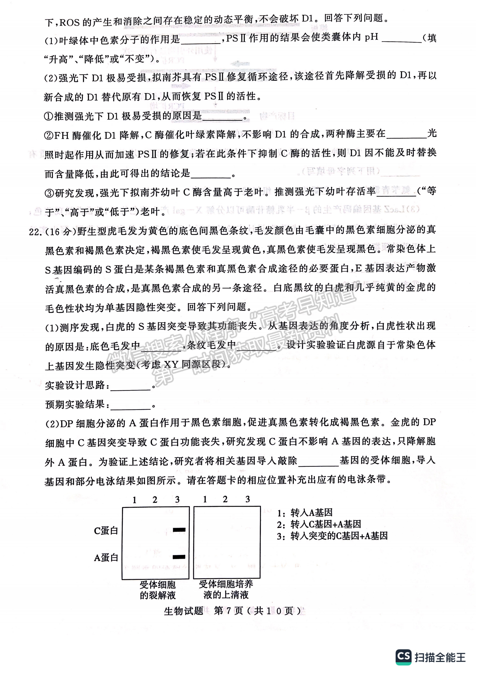 2023山東省濟(jì)寧市二模-生物試卷及答案