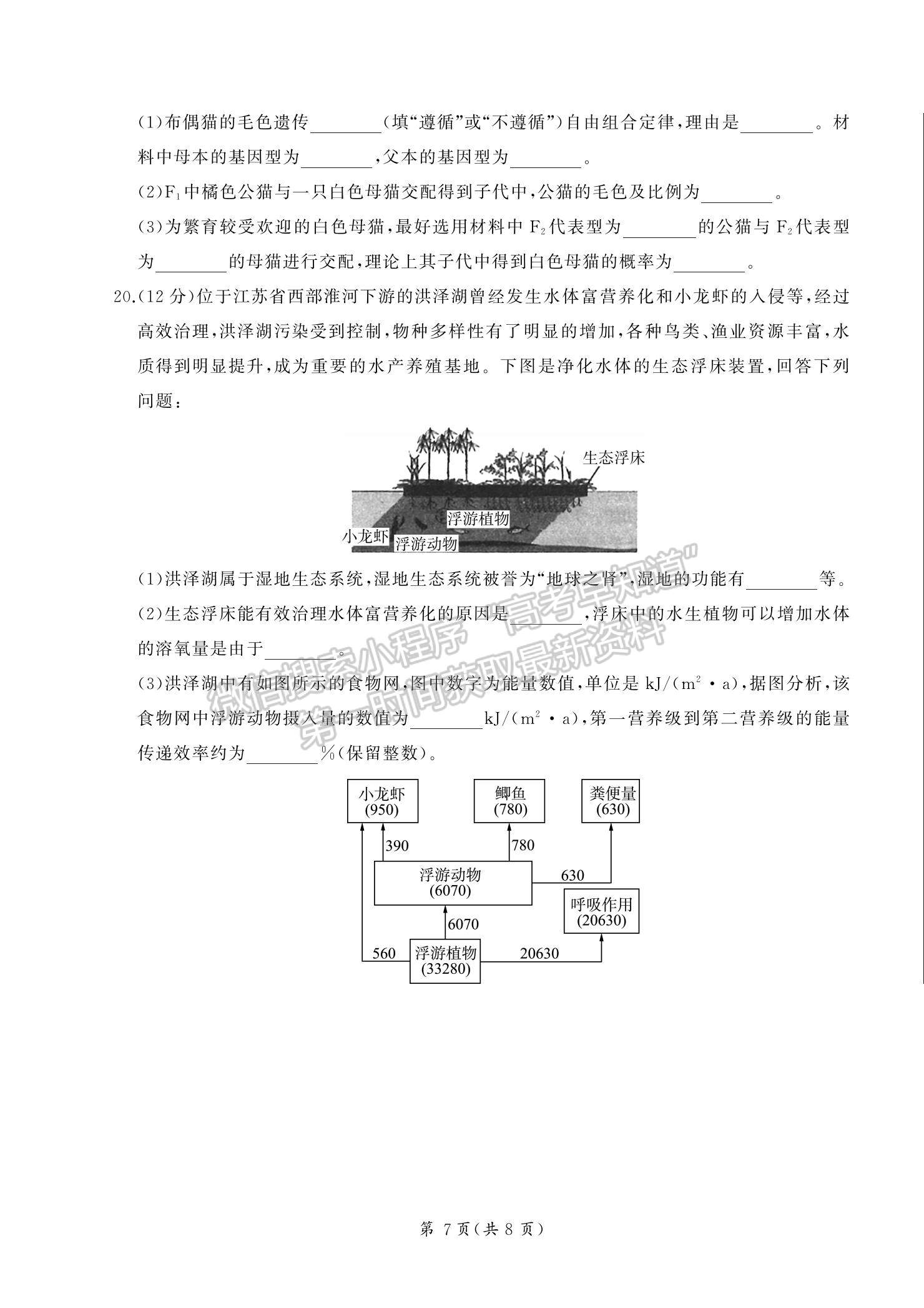 2023湖南省張家界市高三下學期第二次模擬考試生物試題及參考答案