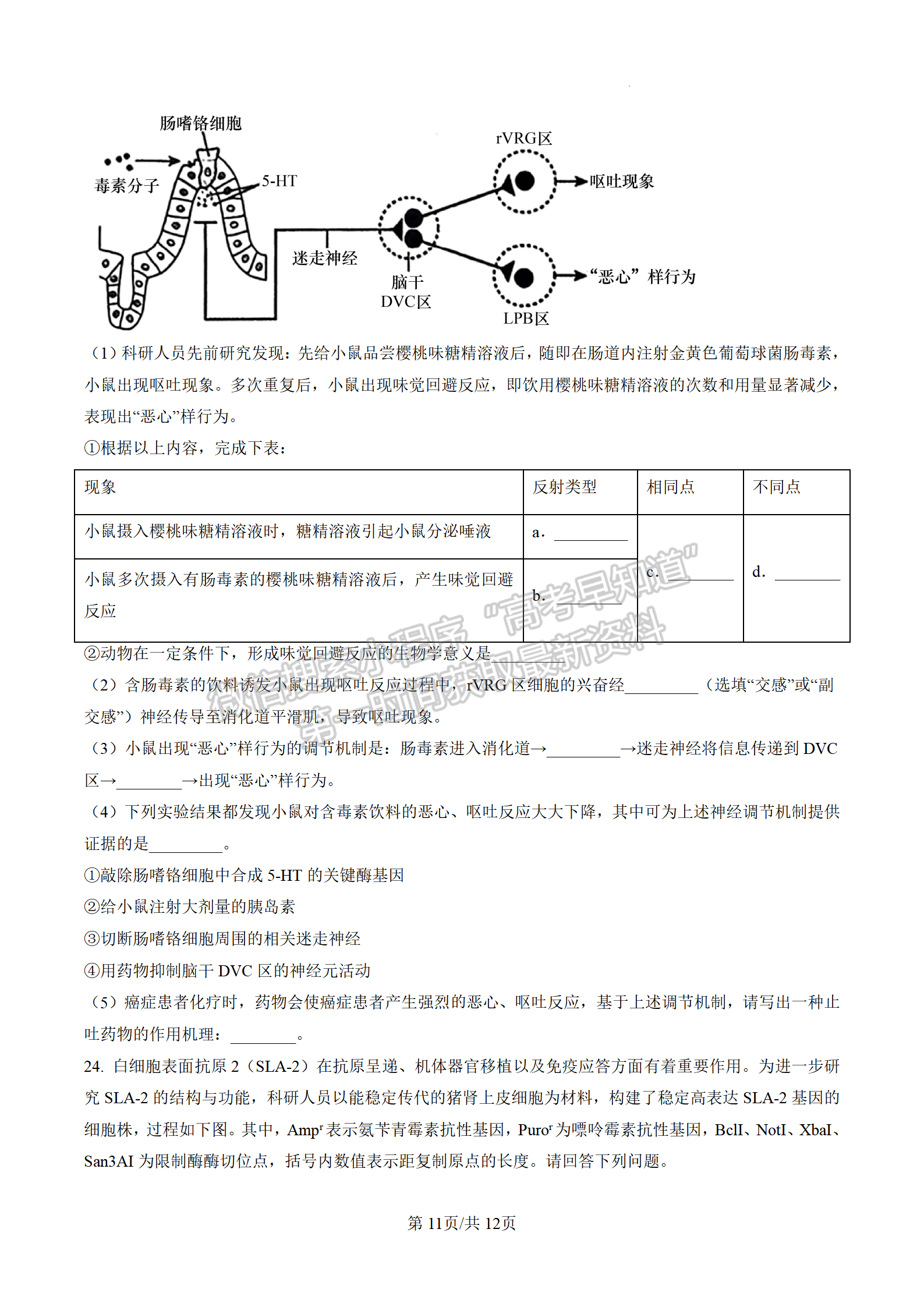 2023江蘇省新高考基地學(xué)校高三4月聯(lián)考生物試題及參考答案