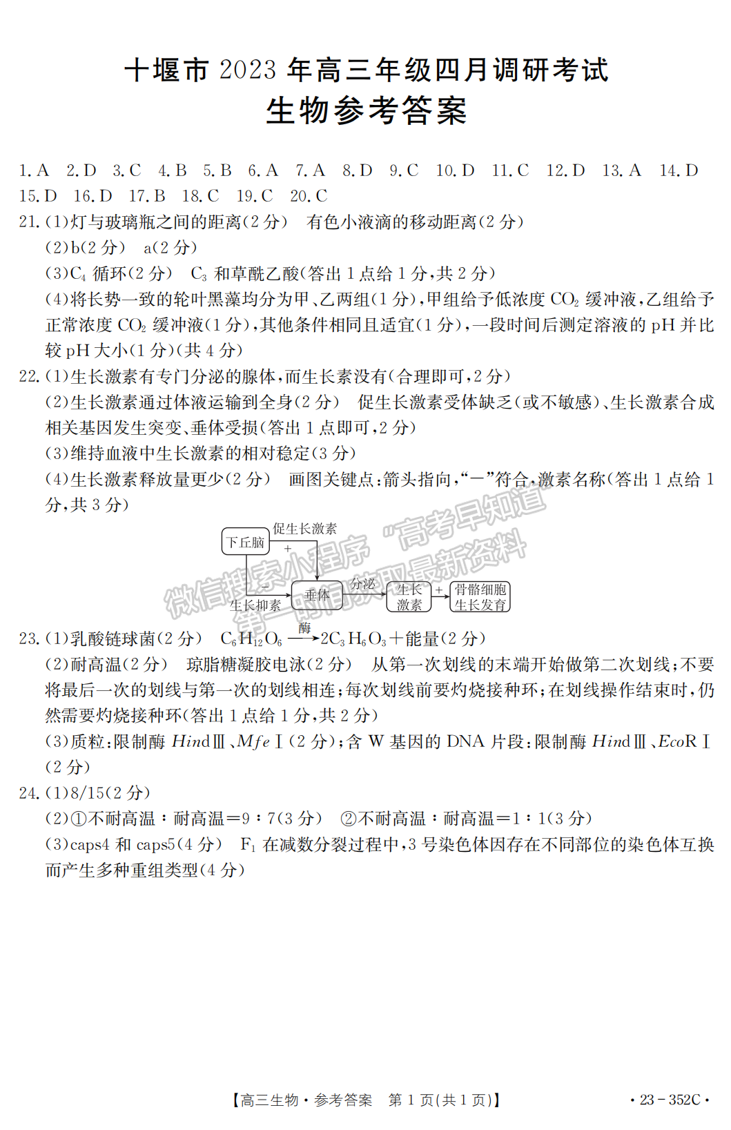 2023年湖北省十堰市高三四月調(diào)研生物試卷及參考答案