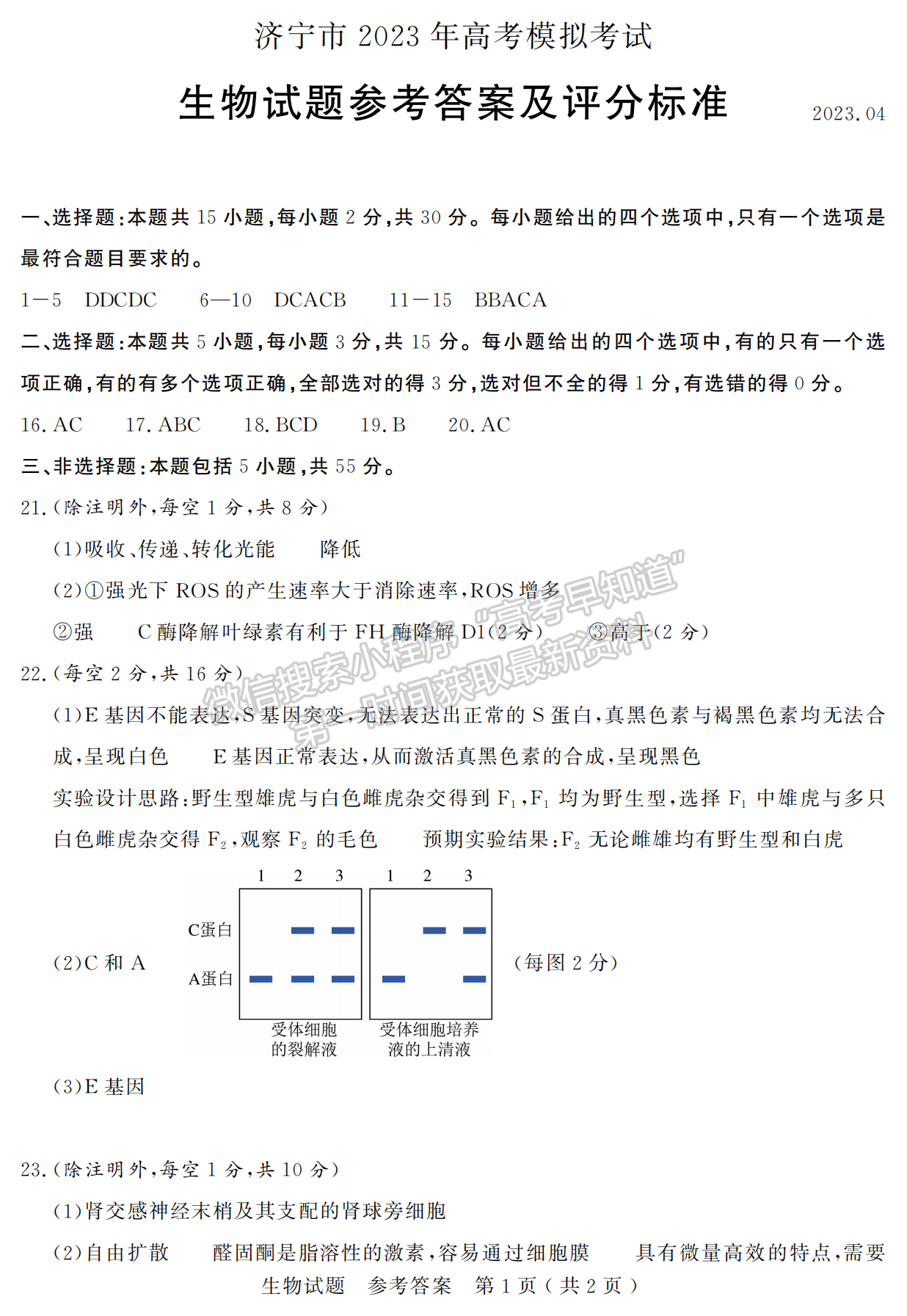 2023山東省濟(jì)寧市二模-生物試卷及答案