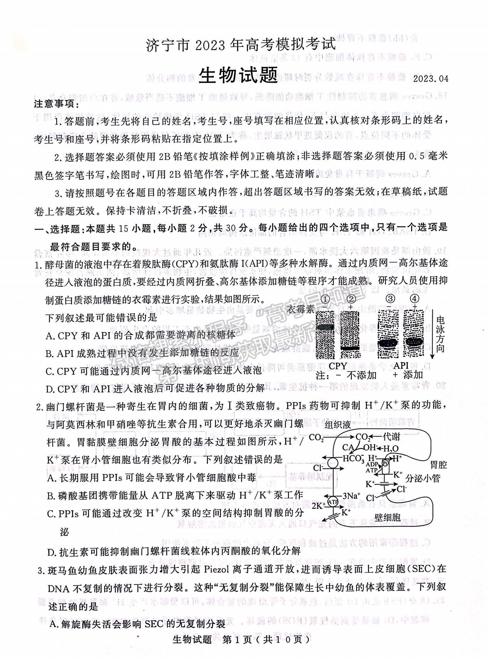 2023山東省濟寧市二模-生物試卷及答案