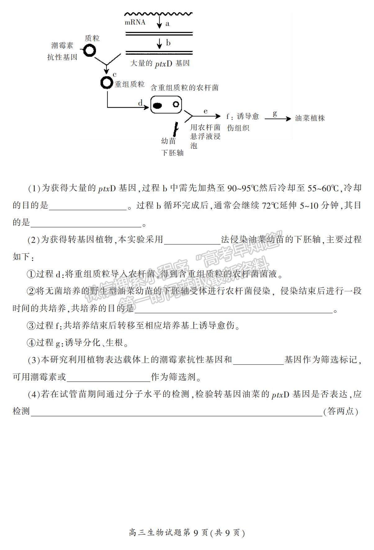 2023湖南省郴州市高三下學(xué)期第三次教學(xué)質(zhì)量監(jiān)測生物試題及參考答案