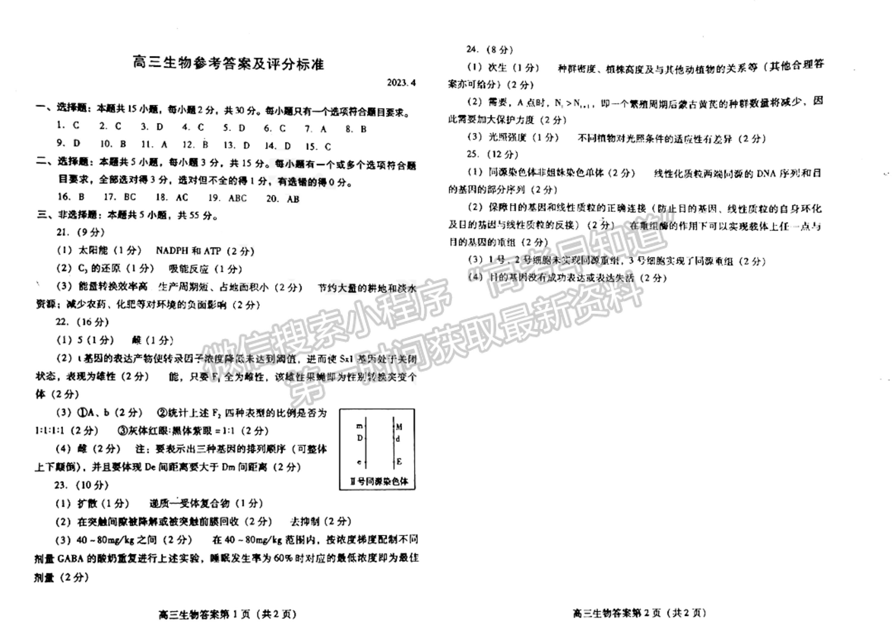 2023山東省濰坊市二模-生物試卷及答案