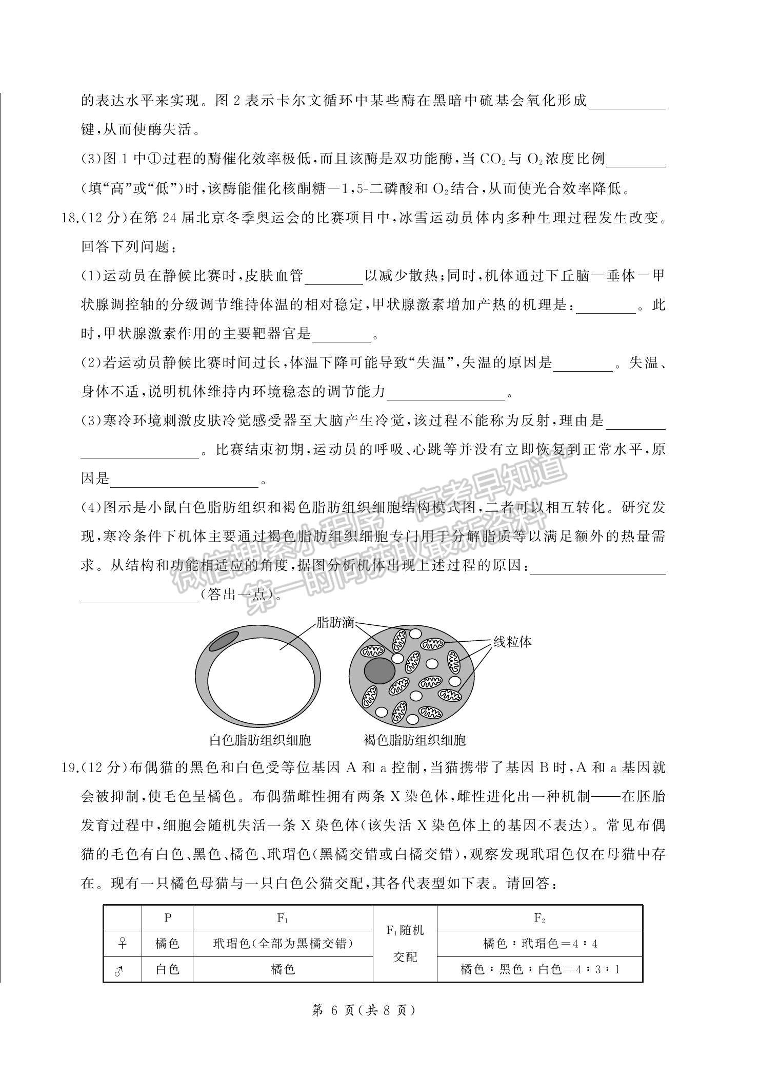 2023湖南省張家界市高三下學期第二次模擬考試生物試題及參考答案