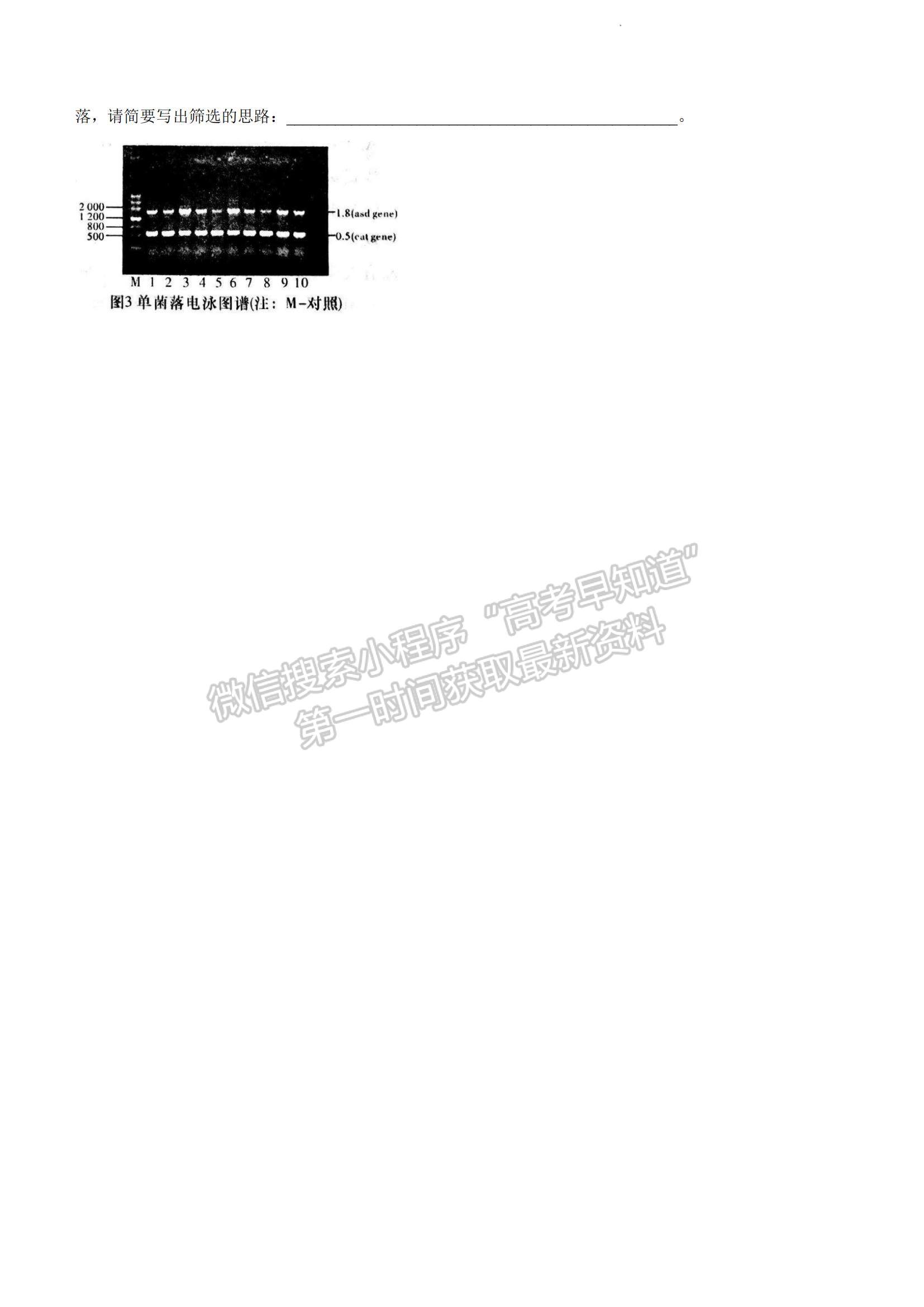 2023湖南省長沙市長郡中學(xué)高三上學(xué)期月考（六）生物試題及參考答案