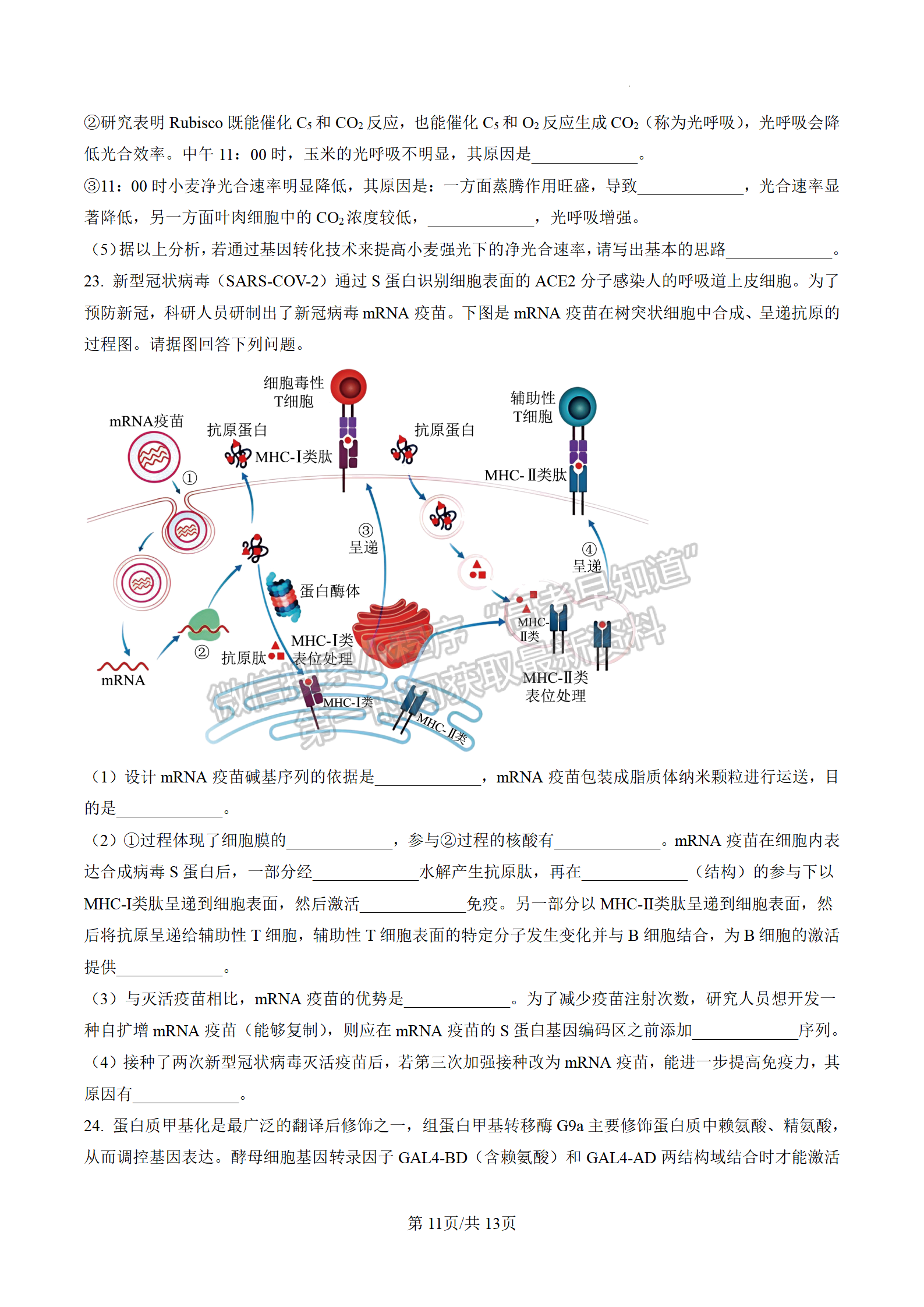 2023屆江蘇高三4月決勝新高考大聯(lián)考生物試題及參考答案