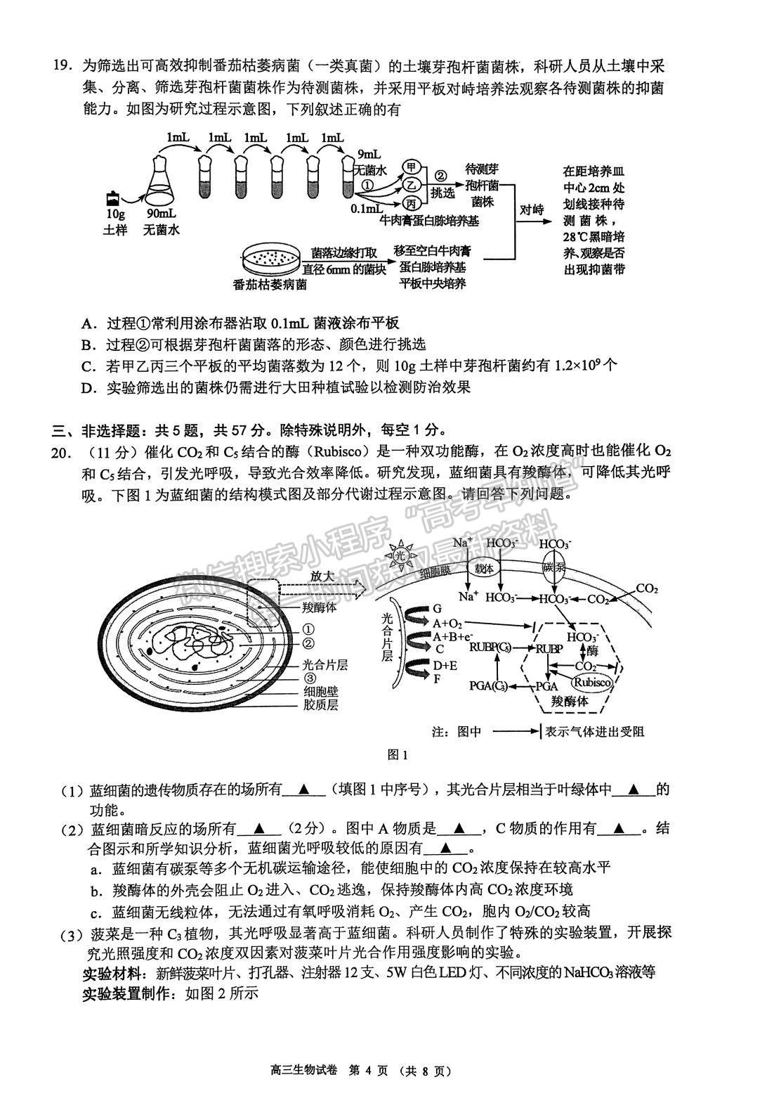 2023屆江蘇省蘇錫常鎮(zhèn)高三二模生物試題及參考答案