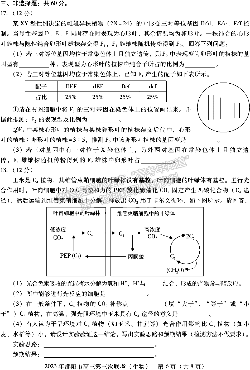 2023年邵陽市高三第三次聯(lián)考生物試卷及參考答案