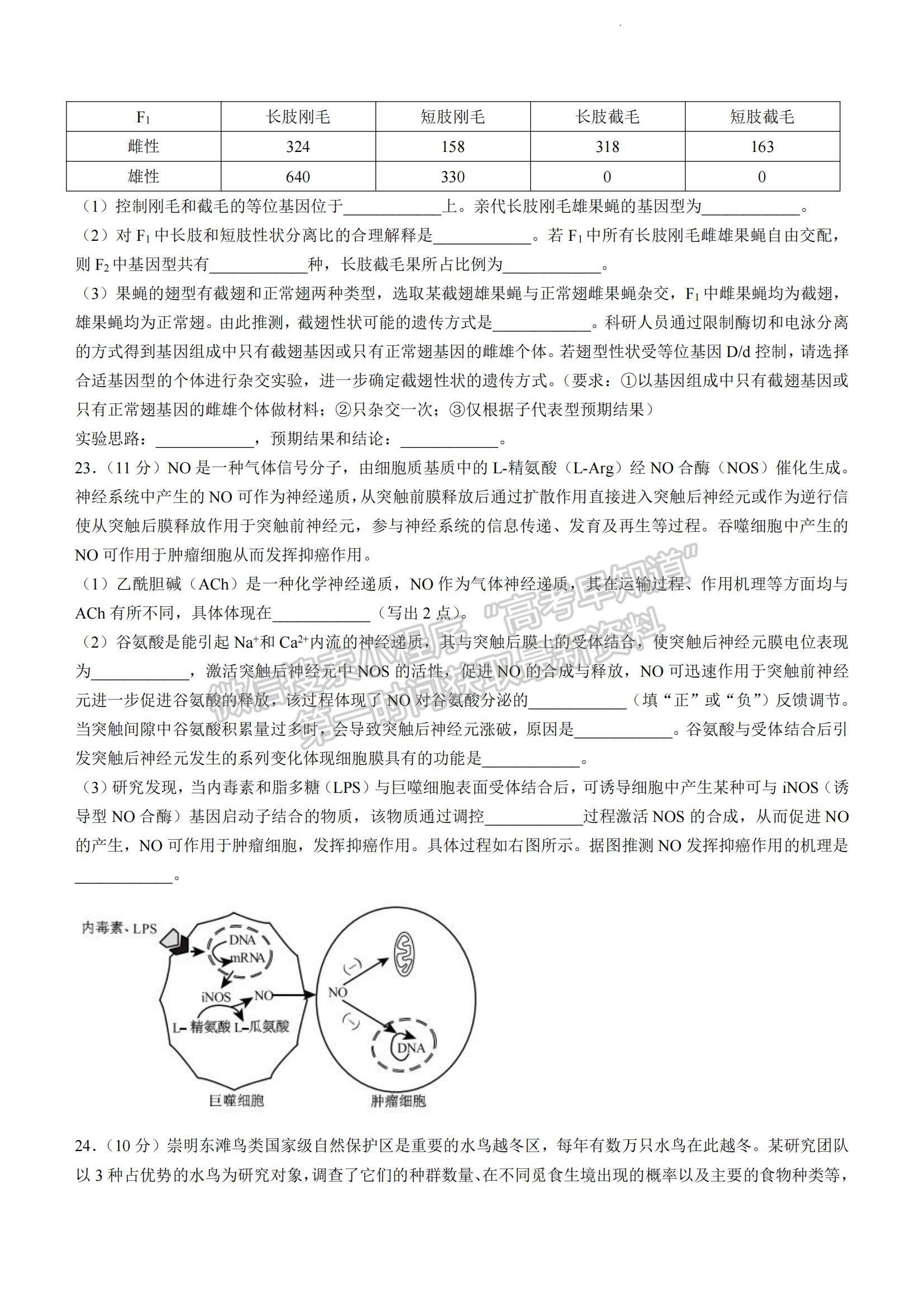 2023山東省威海市高三上學(xué)期期末考試生物試題及參考答案