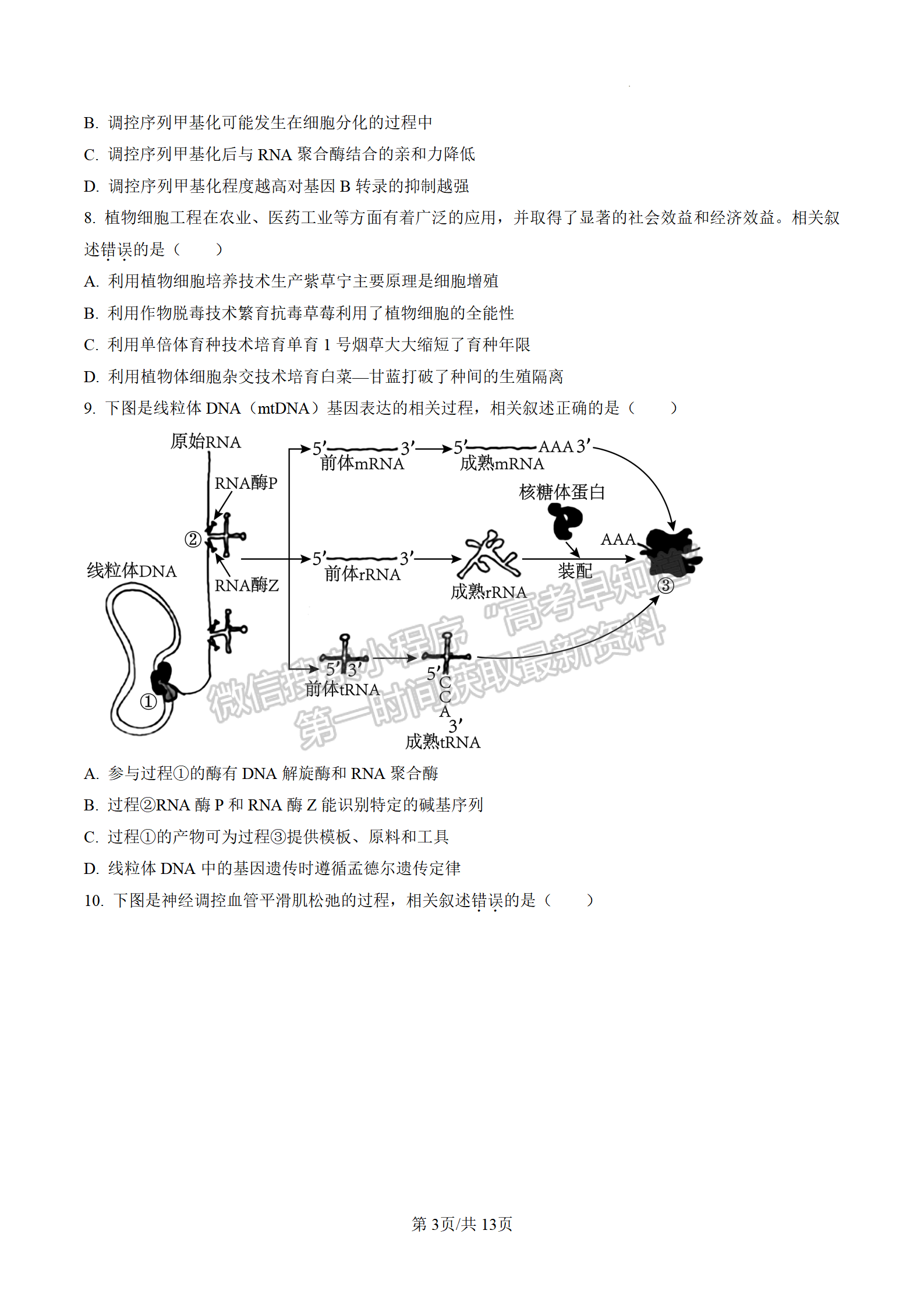 2023屆江蘇高三4月決勝新高考大聯(lián)考生物試題及參考答案