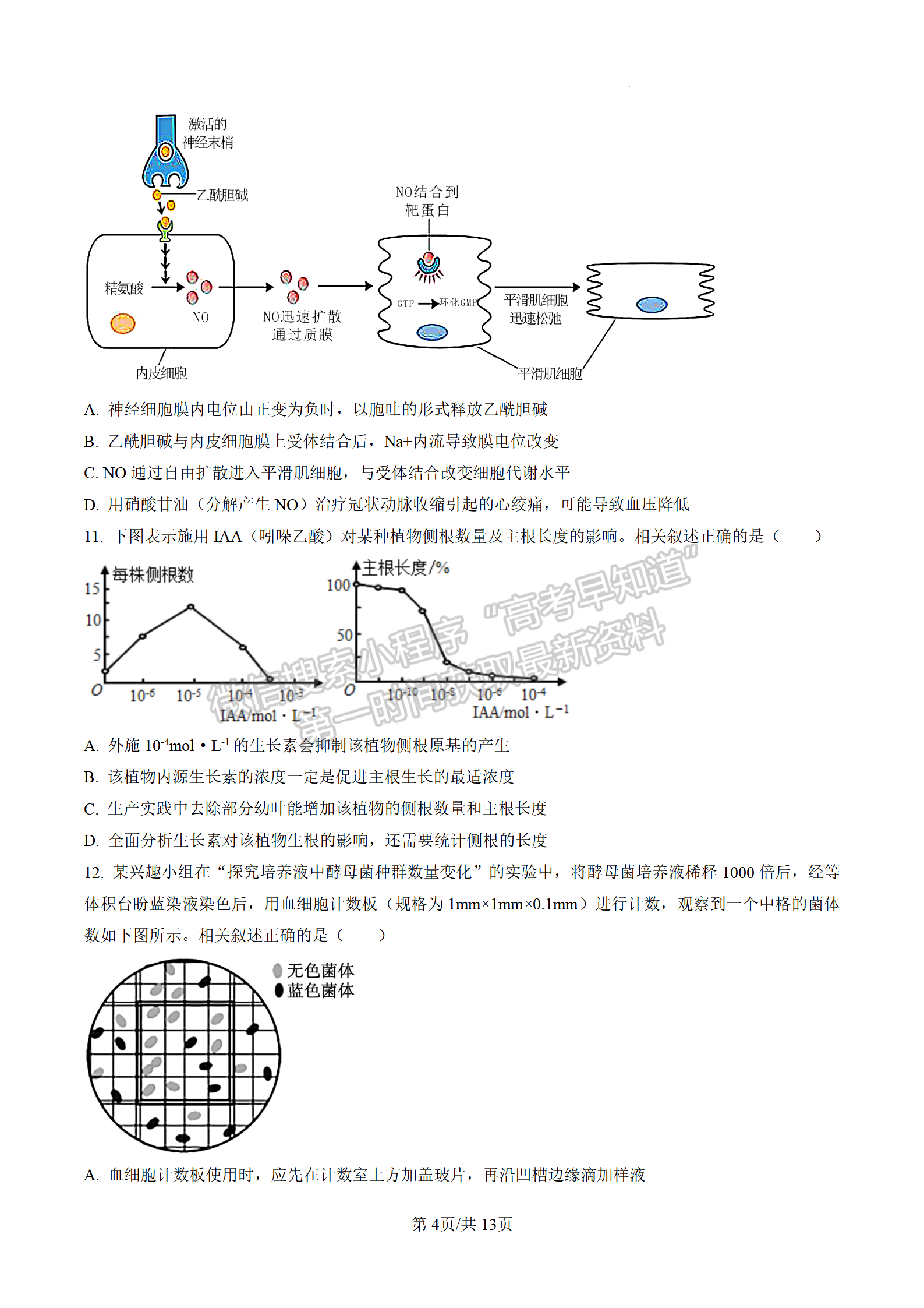 2023屆江蘇高三4月決勝新高考大聯(lián)考生物試題及參考答案