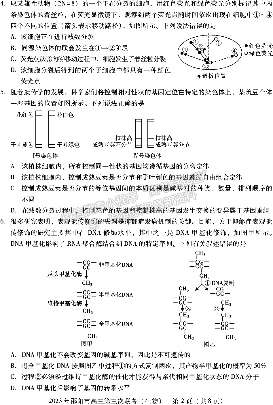 2023年邵陽(yáng)市高三第三次聯(lián)考生物試卷及參考答案