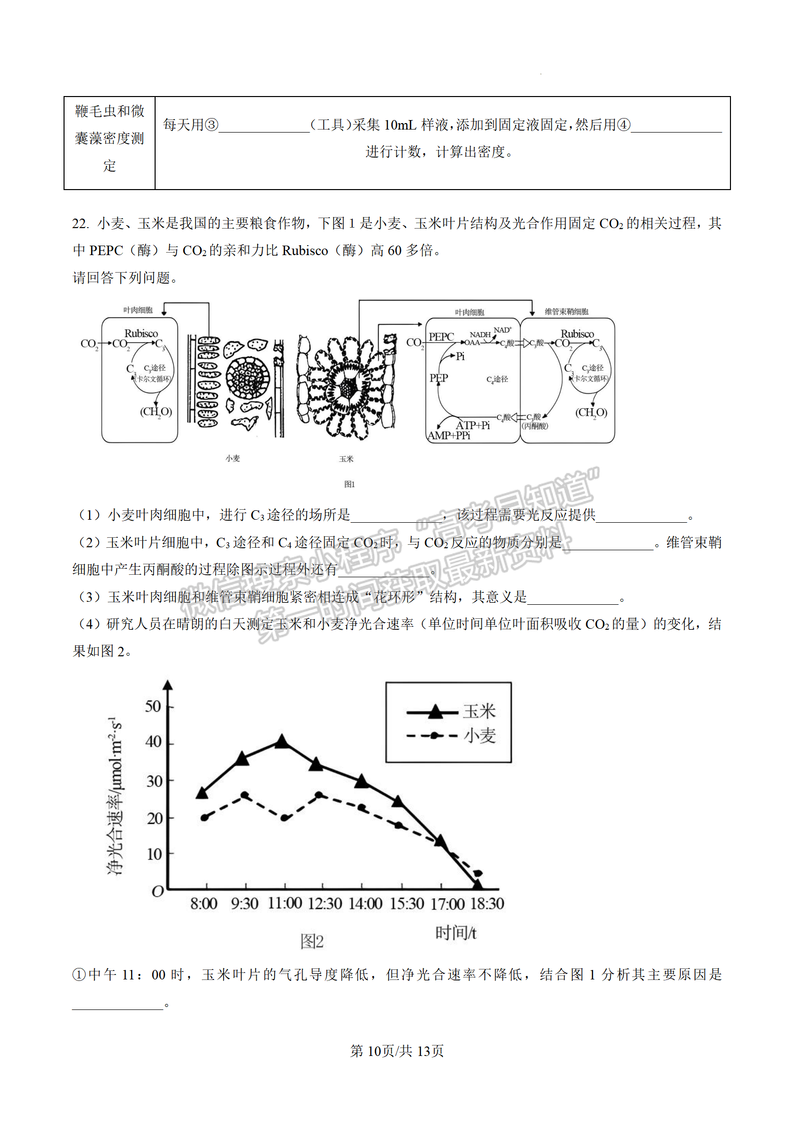 2023屆江蘇高三4月決勝新高考大聯(lián)考生物試題及參考答案