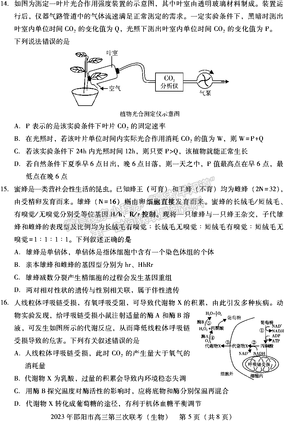 2023年邵陽市高三第三次聯考生物試卷及參考答案