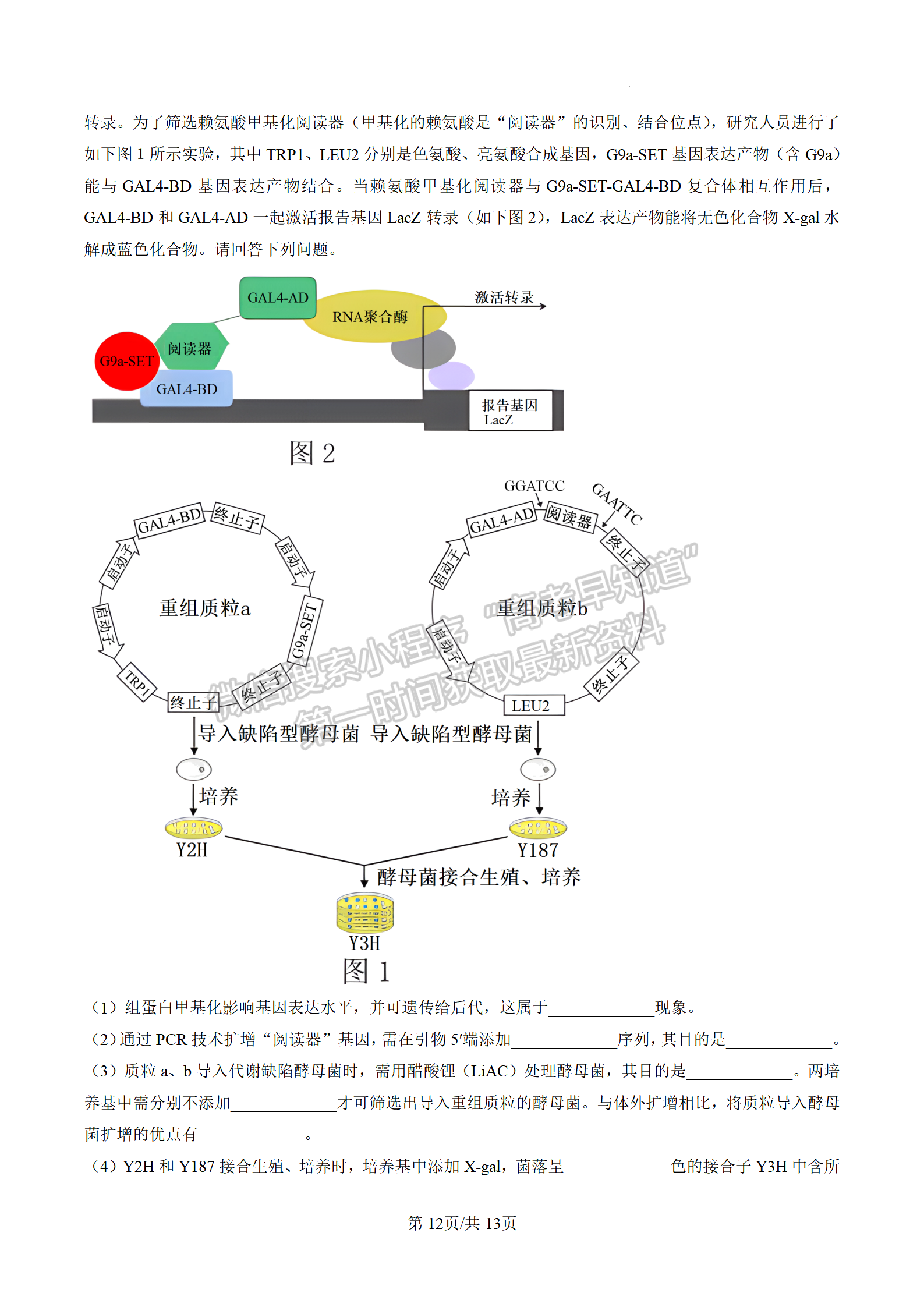 2023屆江蘇高三4月決勝新高考大聯(lián)考生物試題及參考答案