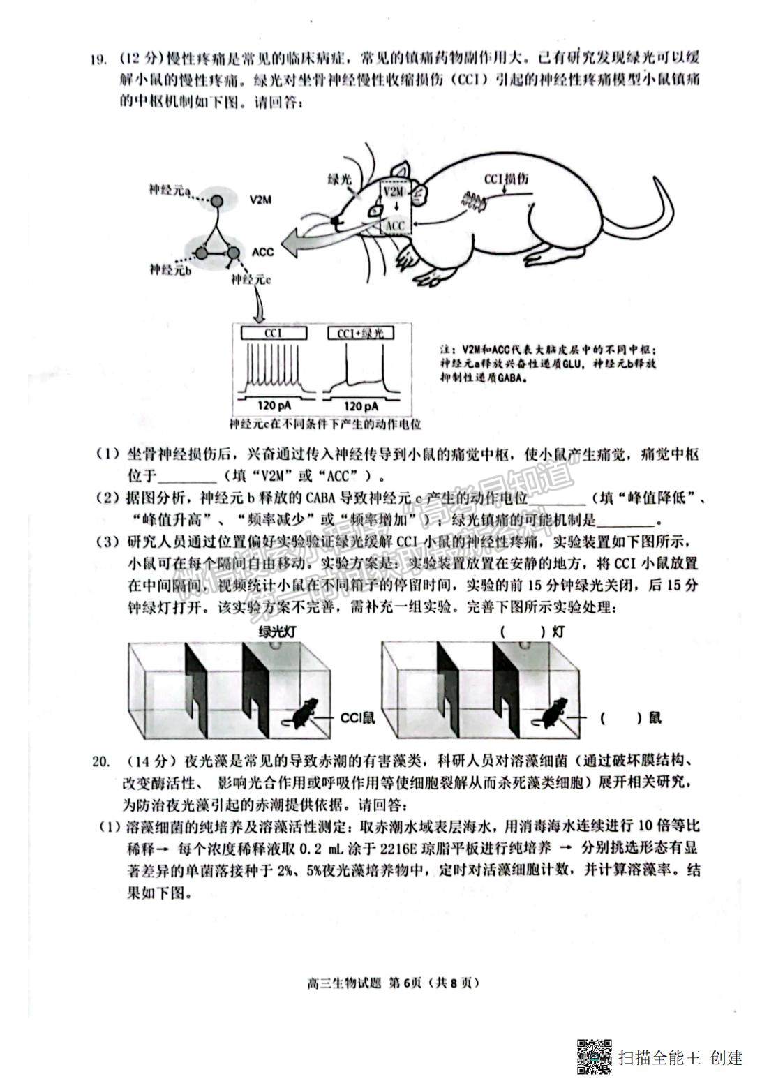 2023泉州四檢生物試題及參考答案