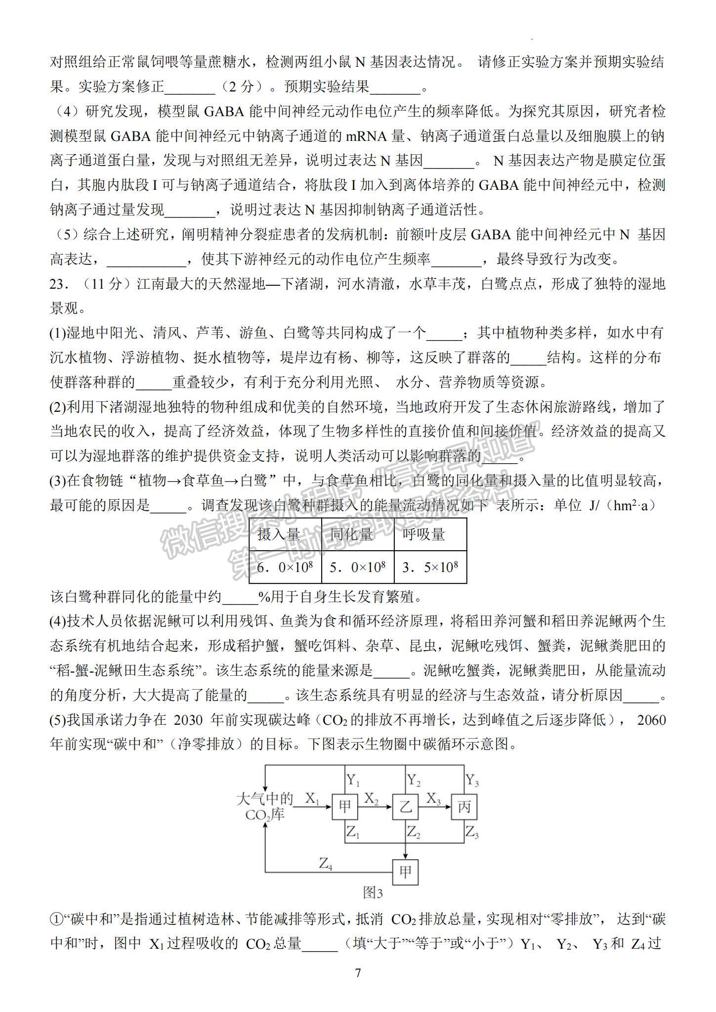 2023江蘇省揚(yáng)州中學(xué)高三下學(xué)期3月階段調(diào)研生物試題及參考答案