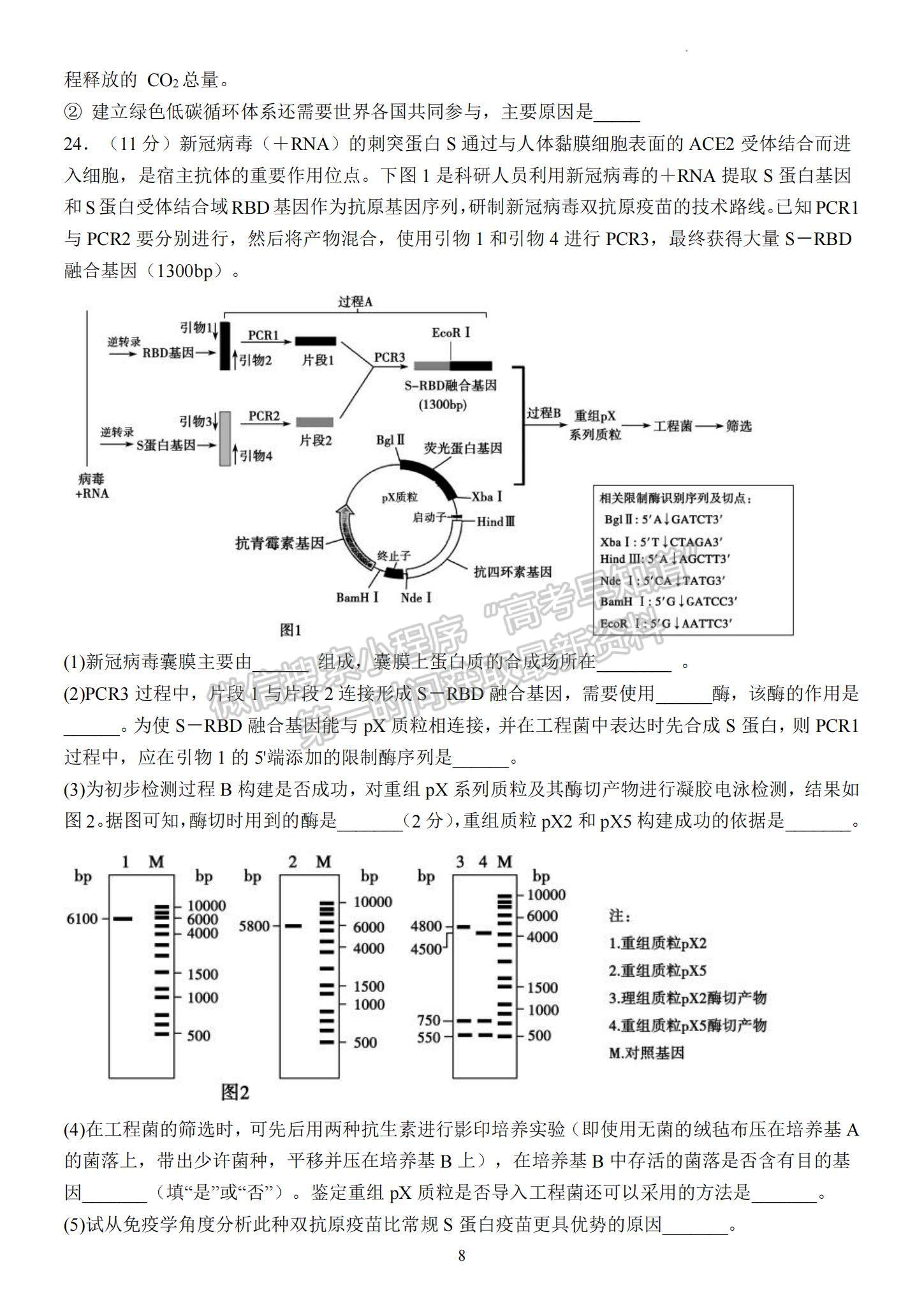 2023江蘇省揚(yáng)州中學(xué)高三下學(xué)期3月階段調(diào)研生物試題及參考答案