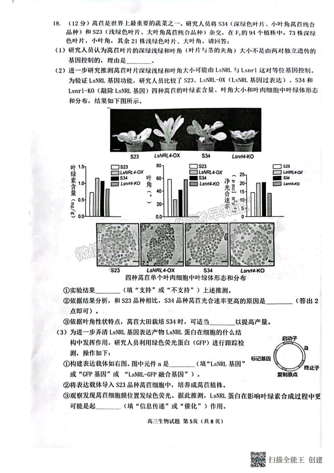 2023泉州四檢生物試題及參考答案